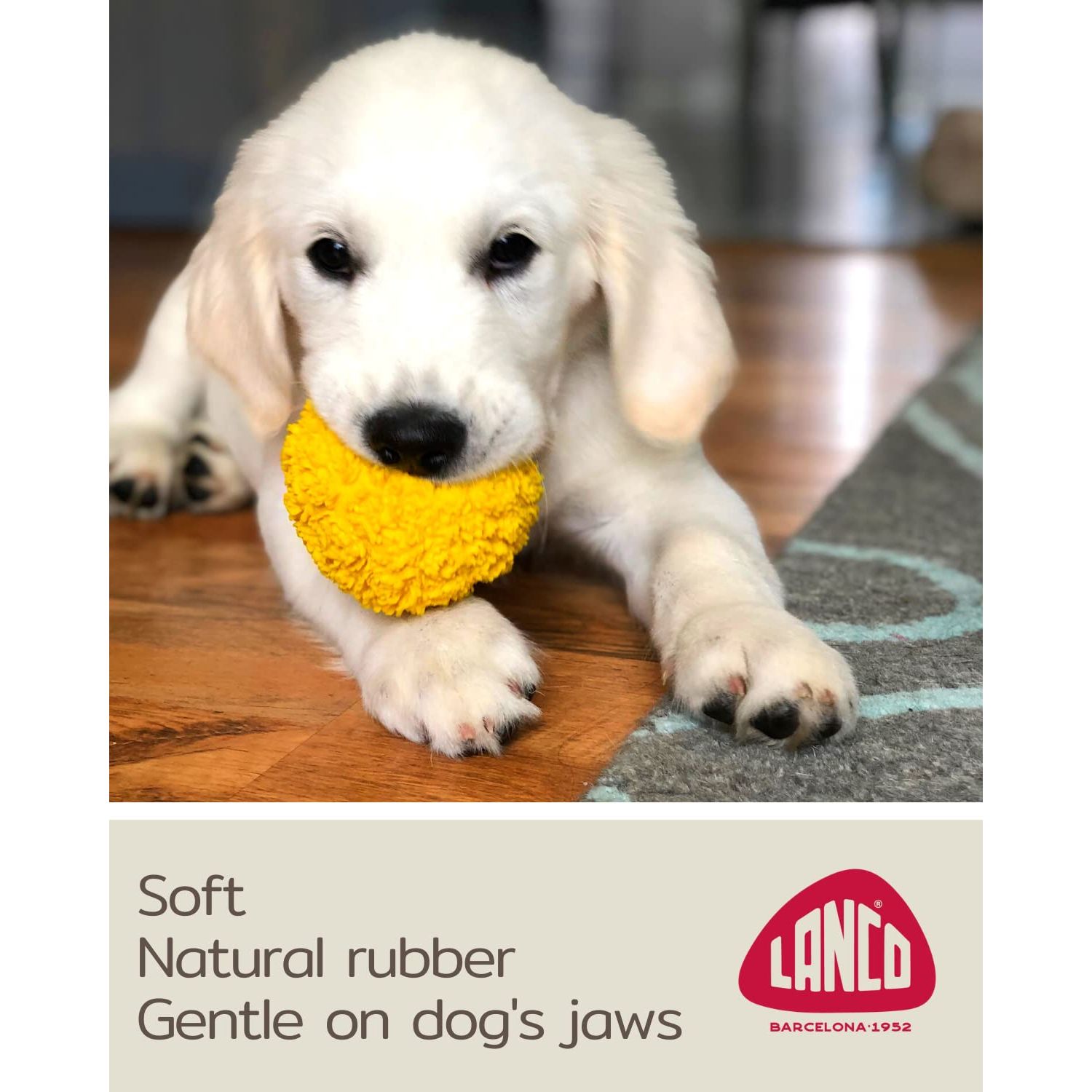 Set of 2 Squeaky Rubber Balls for Puppies - 3" - Sensory Dog Toys - Soft Natural Rubber (Latex) - Puppies Small Breeds - Comply with Same Safety Standards as Baby Toys