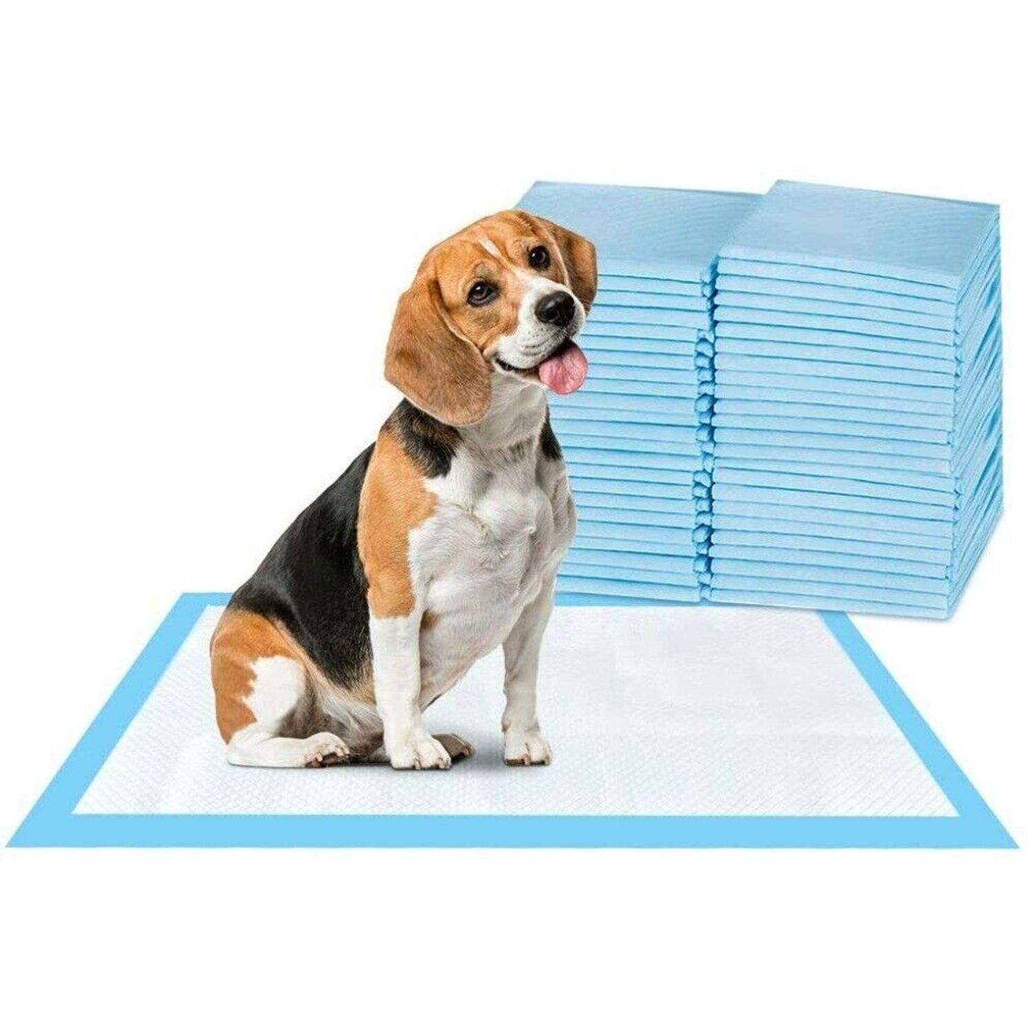 20X Super-Absorbent Waterproof Dog Puppy Pet Training Pad Housebreaking Pet Pad