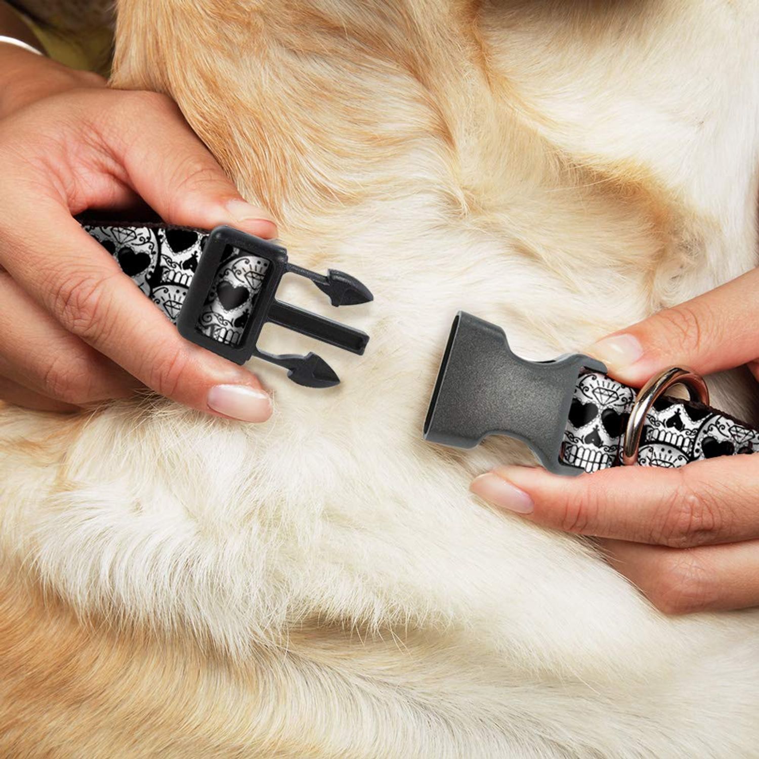 Dog Collar Plastic Clip Diamond Sugar Skull Stacked Black Silver Fade White 15 to 26 Inches 1.0 Inch Wide