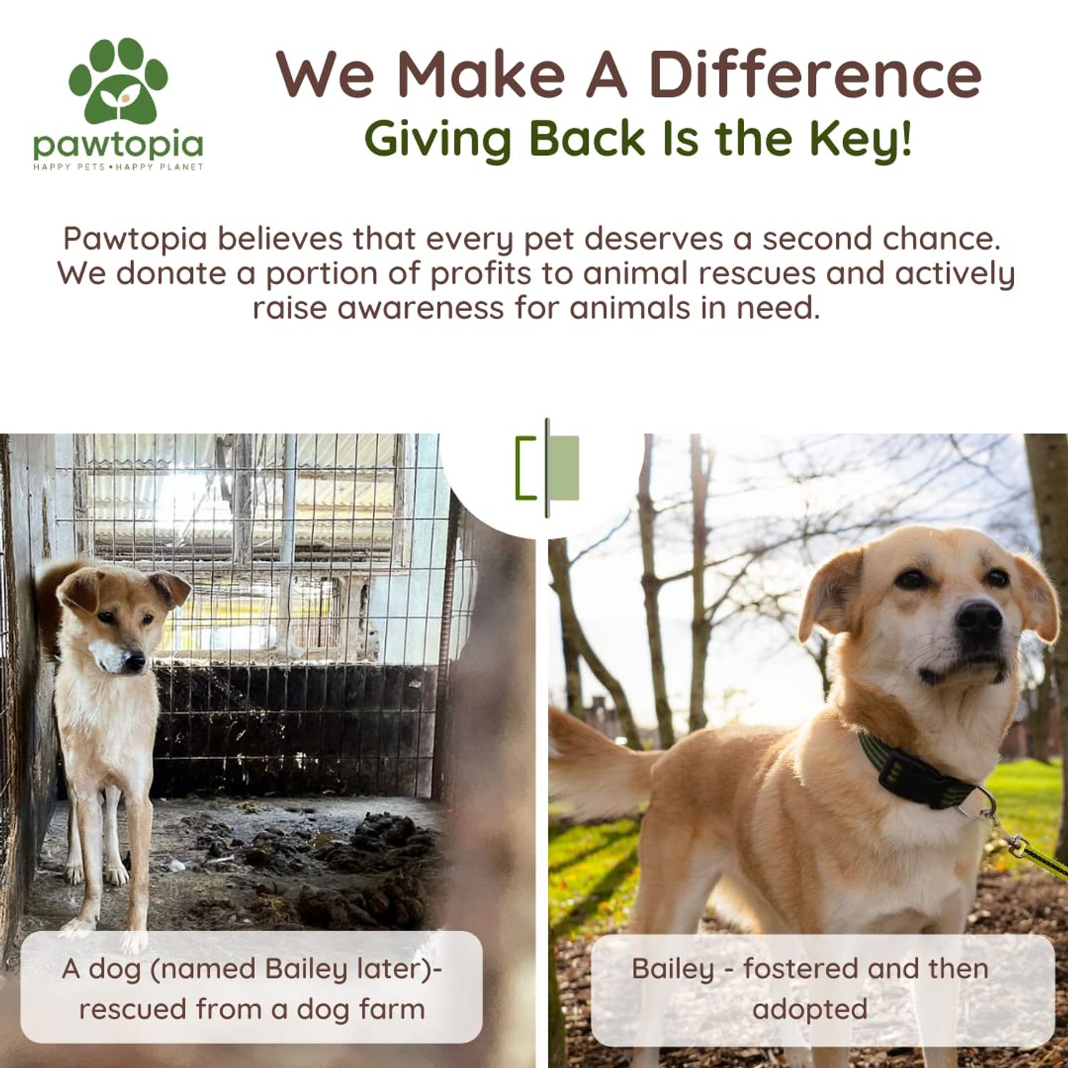 Pawtopia Certified Home Compostable Dog Poop Bags (120 Bags), Biodegradable Poop Bags, Cat Litter, Vegetable Starches, Eco-friendly Dog Waste Bags, Leak proof, Easy to Open, Give Back