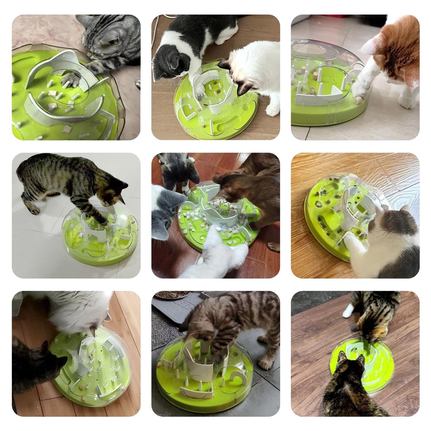 GDSanlian-Interactive Cat Toy Puzzle Box - Cat Puzzle Feeder - Cat Slow Feeding Treatment Dispenser - Cat Puzzle Box - Puzzle Maze Toy - Indoor Rich Cat Toys (Green)