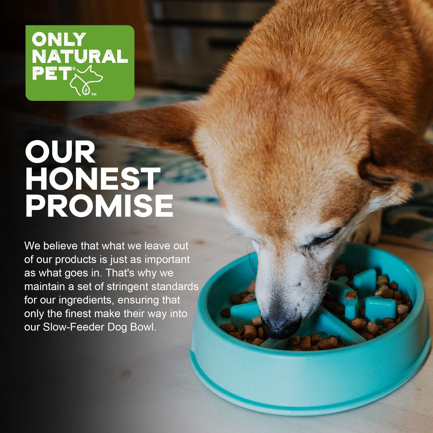 Only Natural Pet Sunup Slow-Feeder Dog Bowl - 50% Plant-Based, Eco-Friendly, BPA & Phthalate-Free, No-Slip Bottom & Handle Indentations, Dishwasher Safe, Small to Medium Dogs - Teal, Small 7.5" x 2"