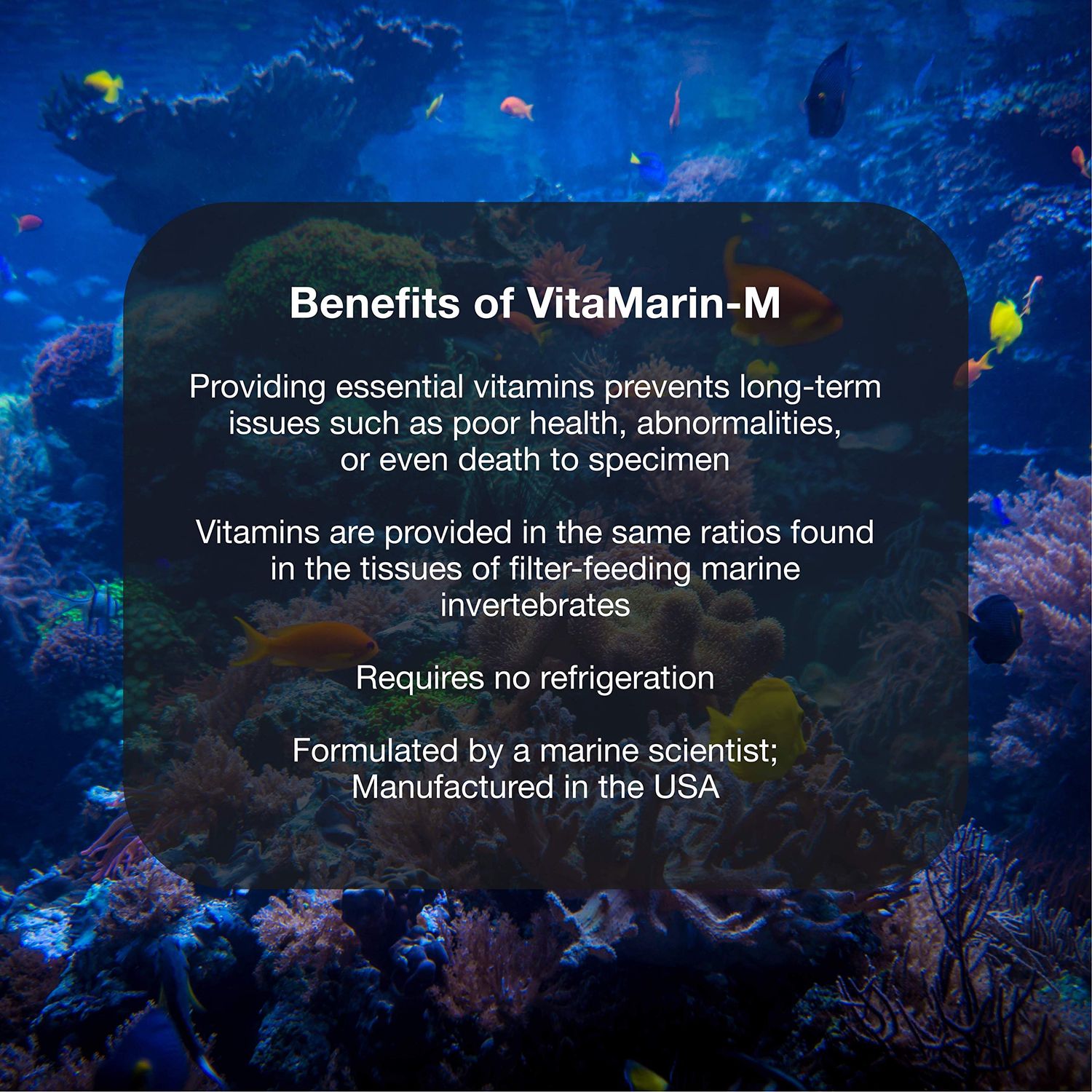 Brightwell Aquatics Vitamarin M - Liquid Multivitamin Supplement for Marine Fish Aquariums , 125-ML