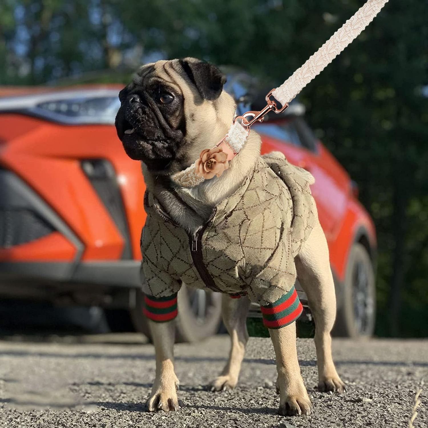 HQREA Dog Hoodie Luxury Winter Small Dog Jacket Clothes Classic Designer Warm Pet Coats Zipper Design Easy On/Off French Bulldog Teddy Pug Puppy Clothes(S)