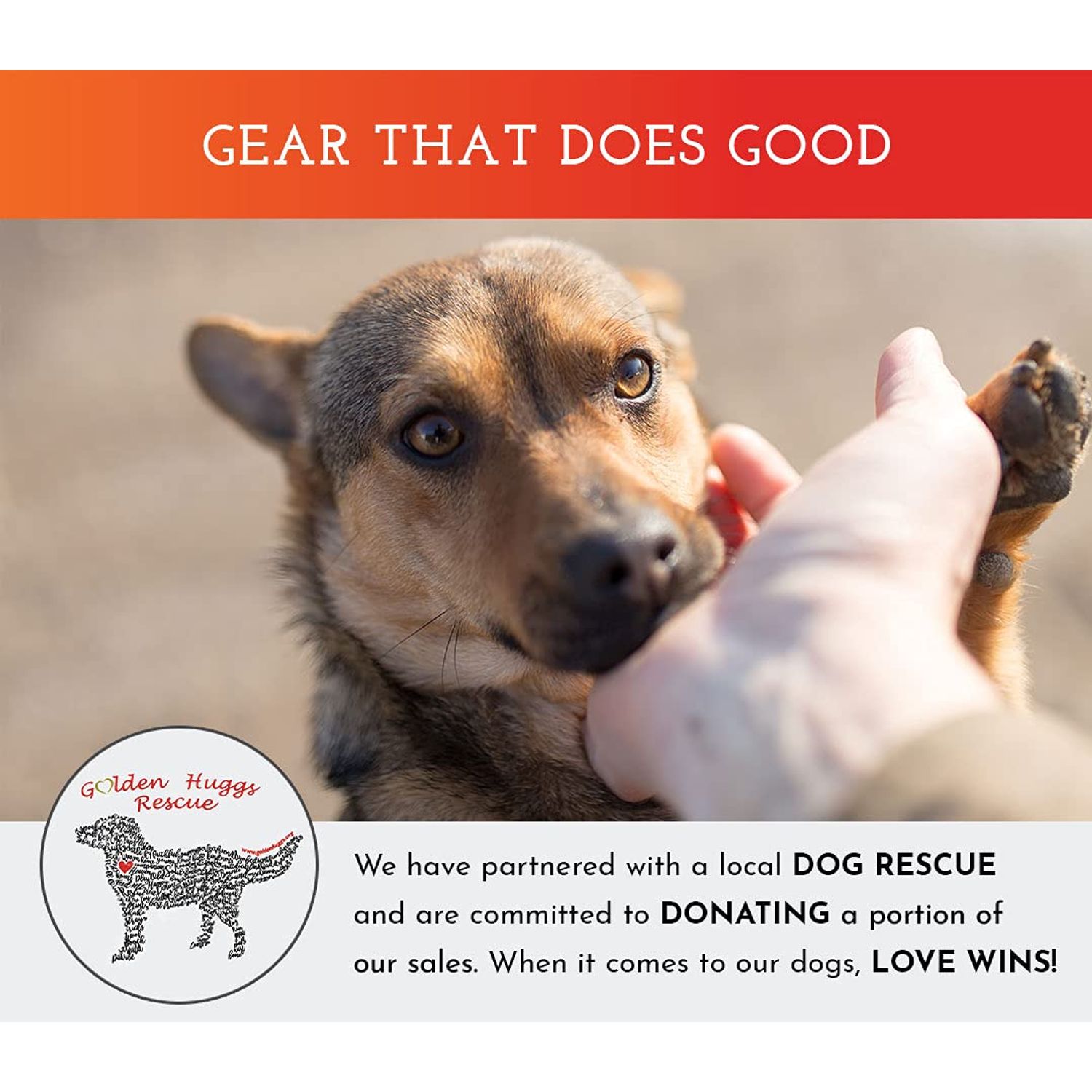 SPOT THE DOG! Reflective Dog Collar - Adjustable Pet Collars, Safe, Durable, Comfortable Dog Walking Accessories for Small Dog, Hunting Dog, Puppy, Lightweight Boy, Girl Dog Collars (Blaze Orange, S)