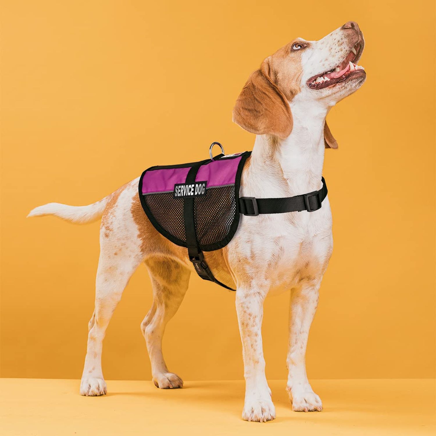 Dogline Service Dog Vest, 13 by 16-Inch, Pink