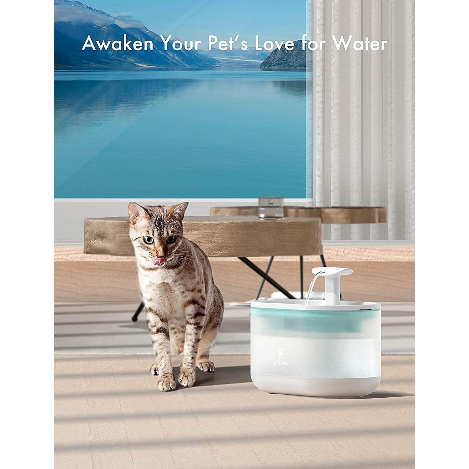 PETLIBRO Replacement Pump for Cat Water Fountain, Super Quiet Pump for Pet Water Fountain Dog Water Dispenser PLWF002 Visit the PETLIBRO Store