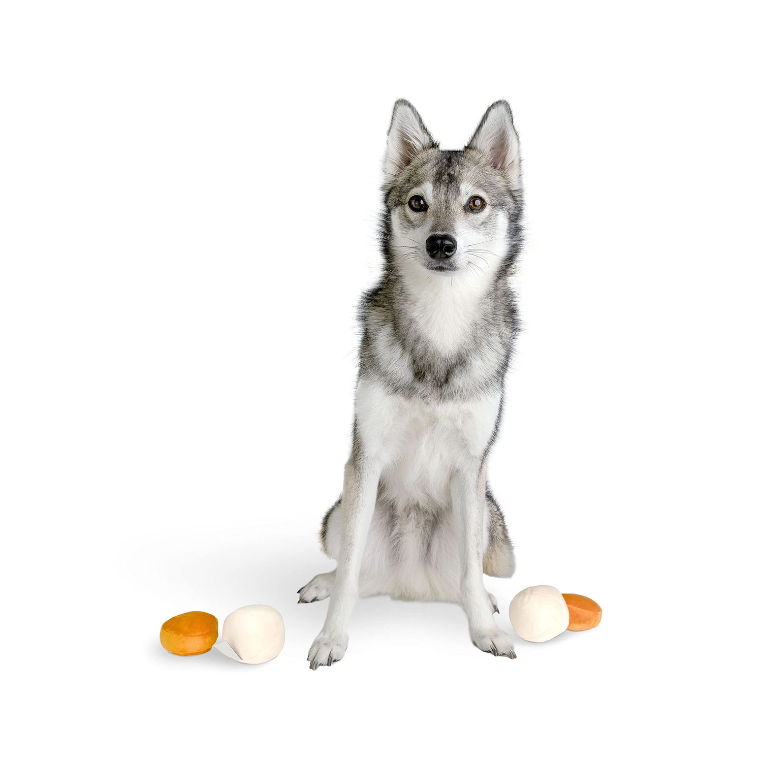 Midlee Matzo Ball Soup Plush Dog Toy