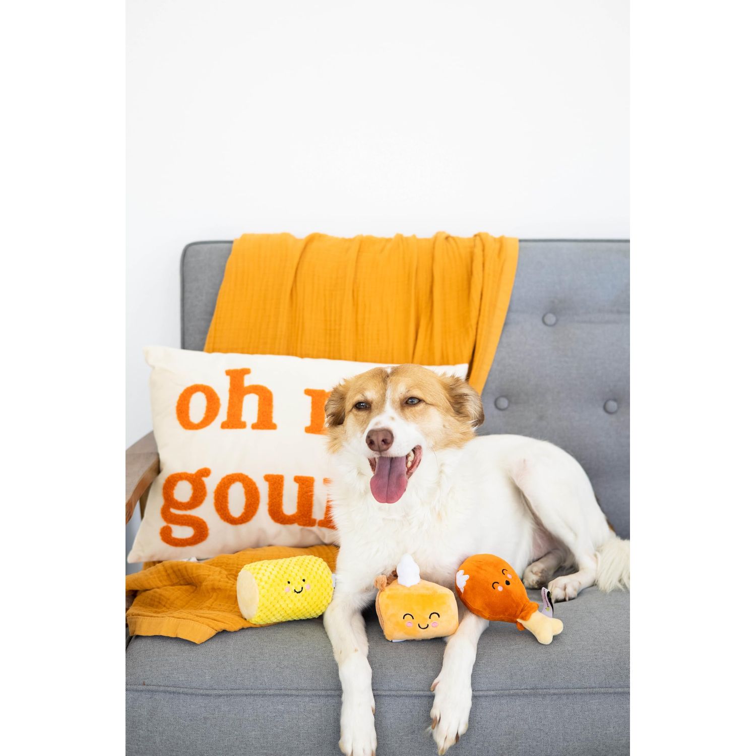 Pearhead Thanksgiving Dinner Dog Toys, Set of 3, Plush Dog Toys, Squeaky Dog Toy, Pumpkin Pie and Turkey Leg Toy, Fall Pet Toys