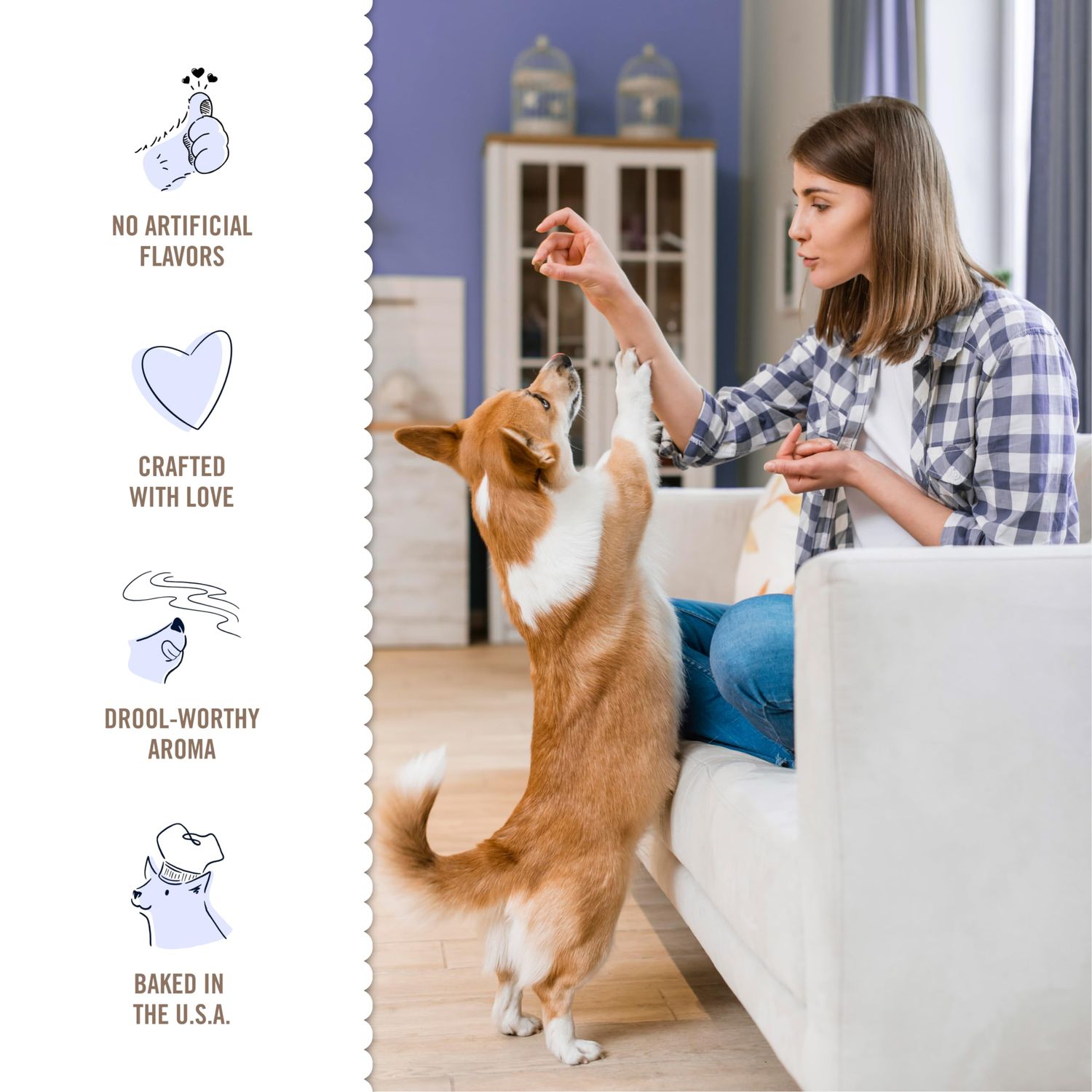 Three Dog Bakery Dog Treats Cookies with Oats & Apples - Soft Chewy Dog Treats, Dog Training Treats, Chewy Training Aids for Dogs Inspired By Classic Breakfasts