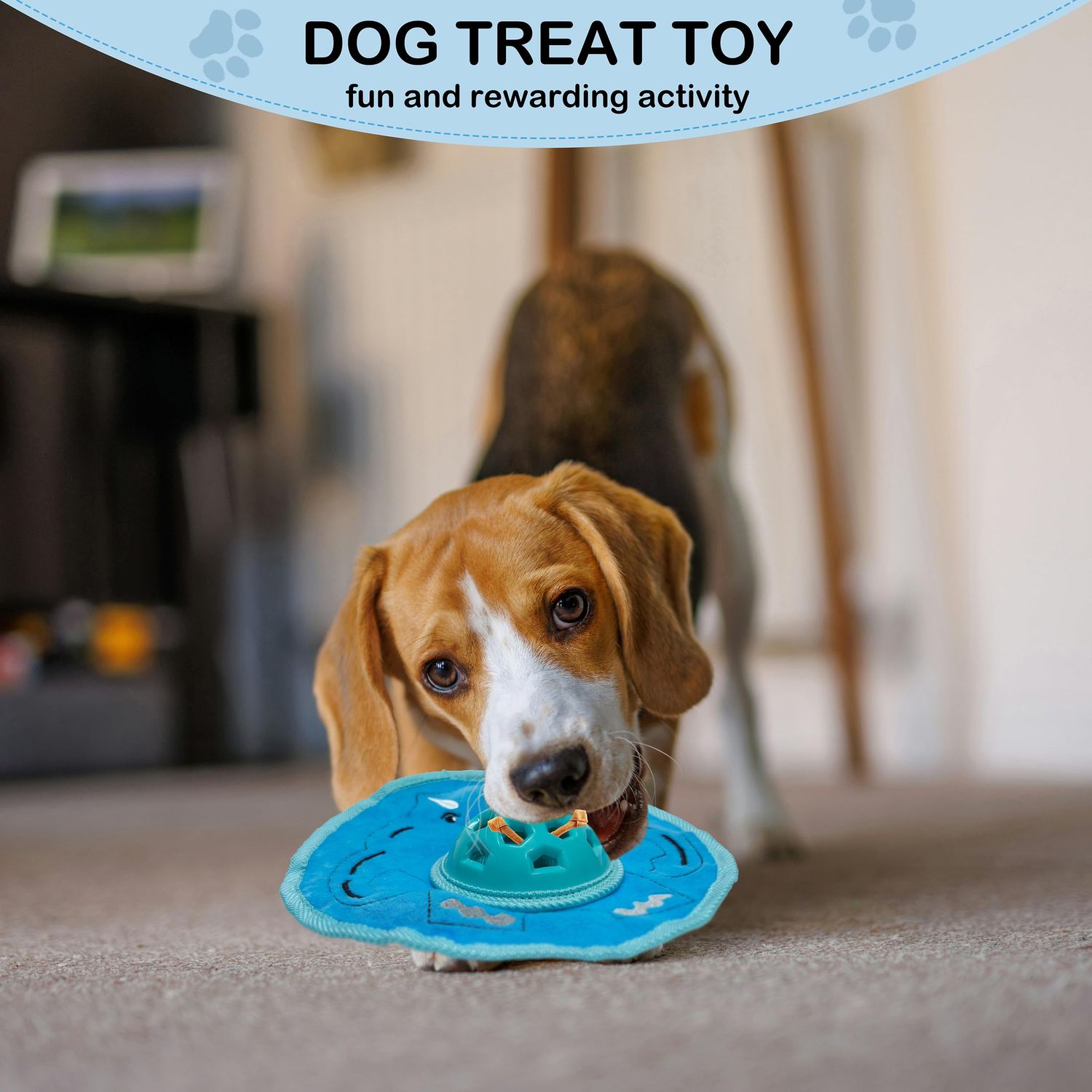 Chasinto 3 in 1 Flying Discs Squeaky Toy for Dogs Halloween Dog Toys Fetch Play Ball Outdoor Fun Game Treat Toy for All Breeds