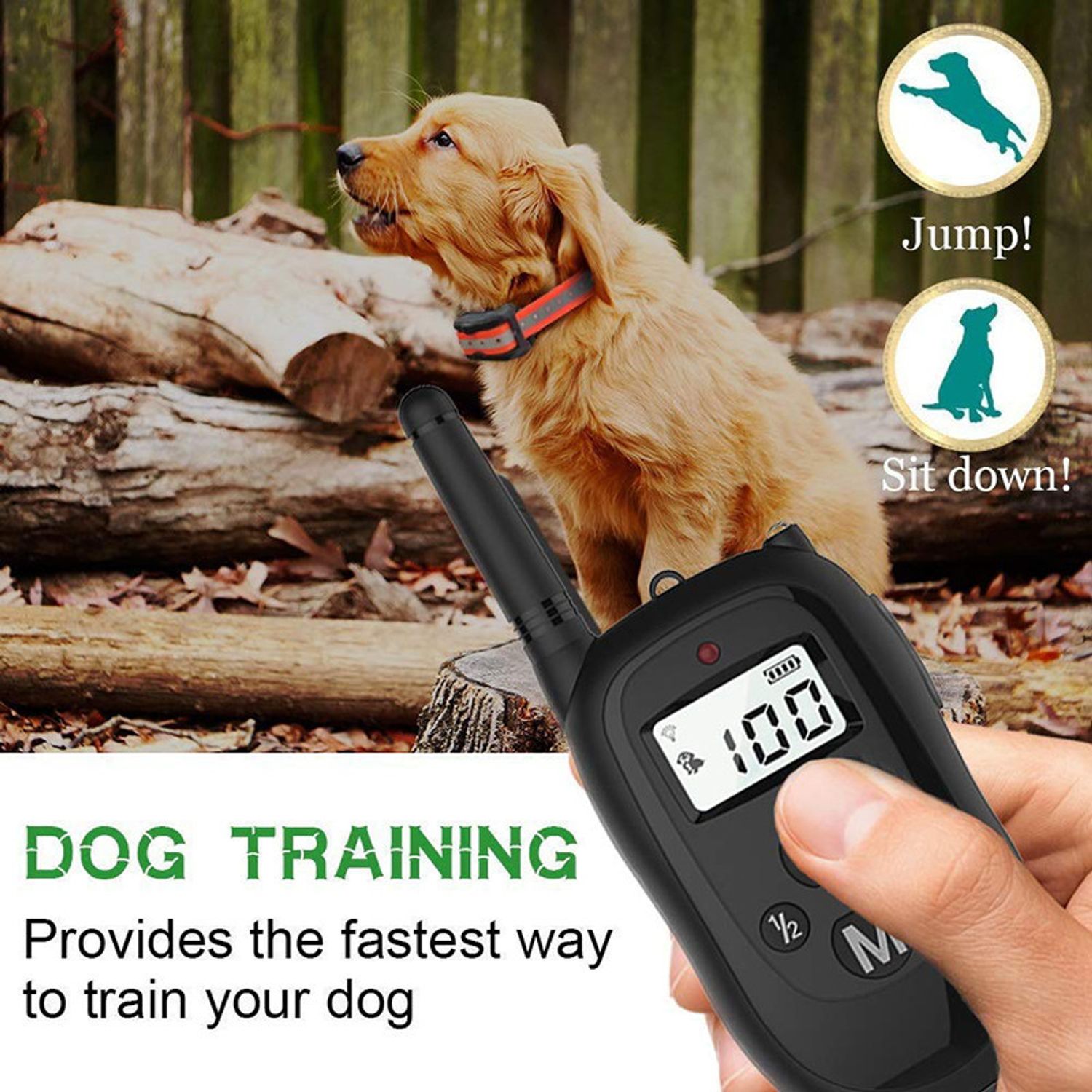 Dog Pet Training Collar with Remote Rechargeable Waterproof Shock Anti Bark