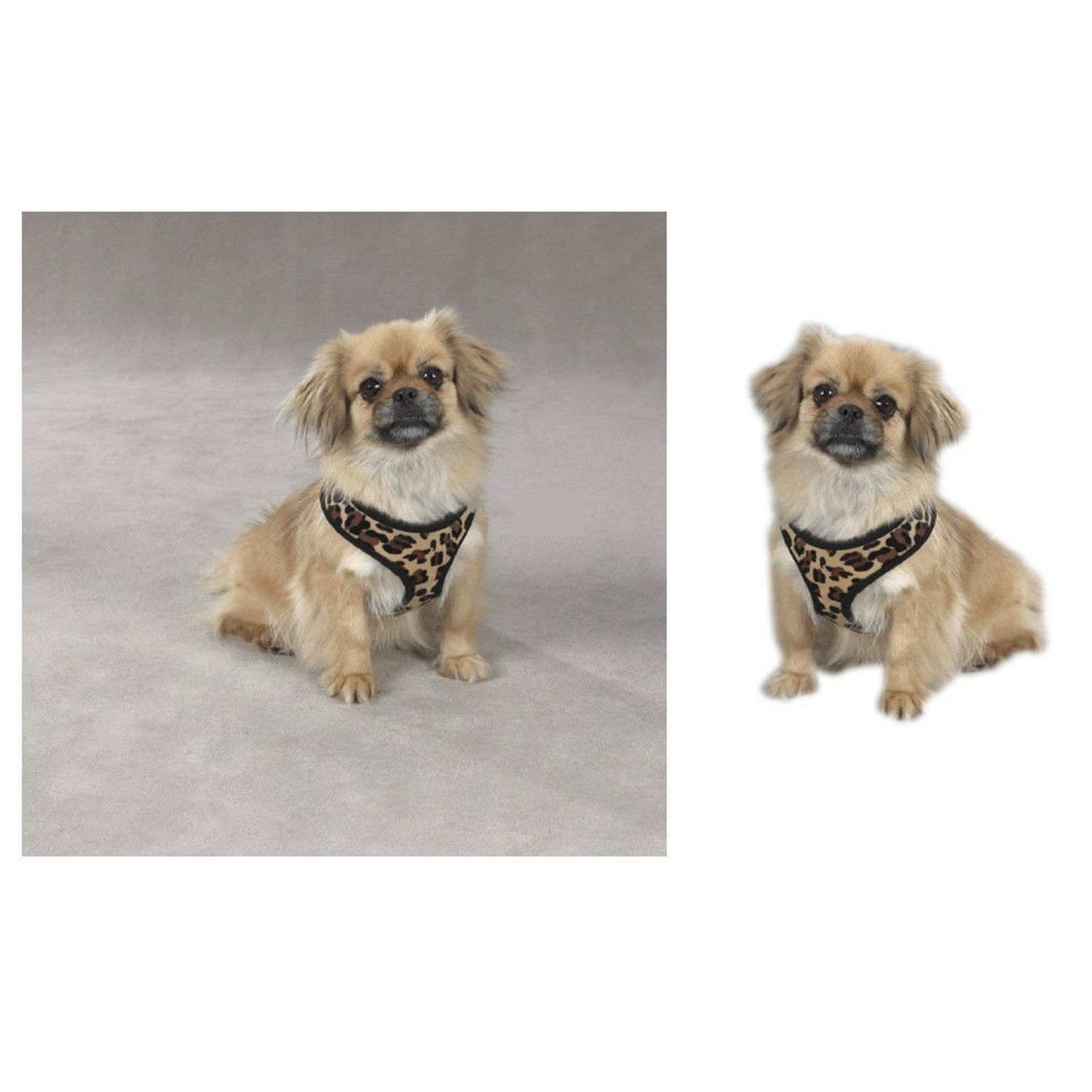 Zack & Zoey Zebra or Leopard Print Soft Plush Dog Harness Durable Reliable Walk Safety(Large Leopard Print)