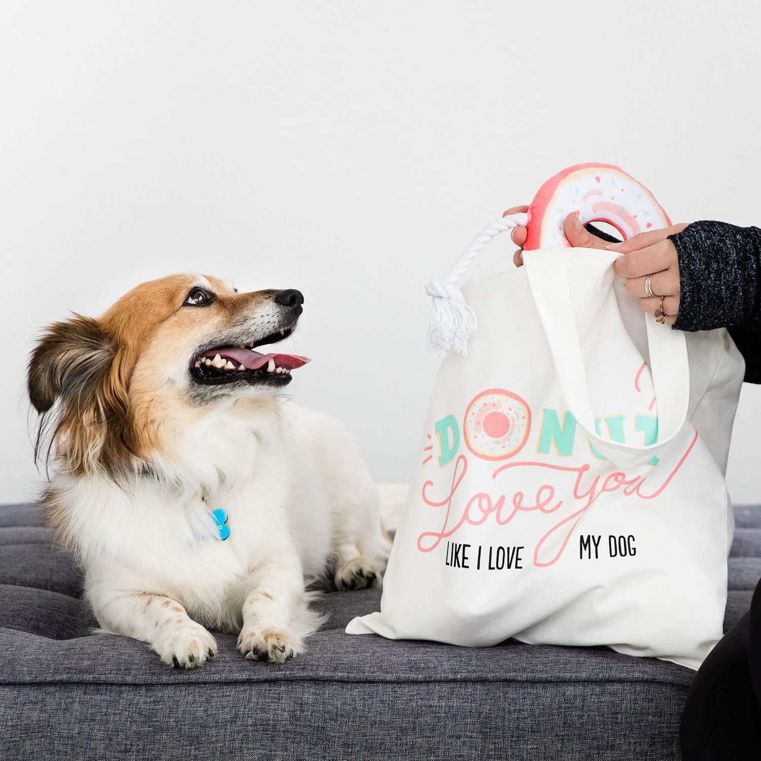 Pearhead Donut Dog Toy and Tote Bag Set, Tug-of-War Rope Pet Toy, Dog Owner Gift Set