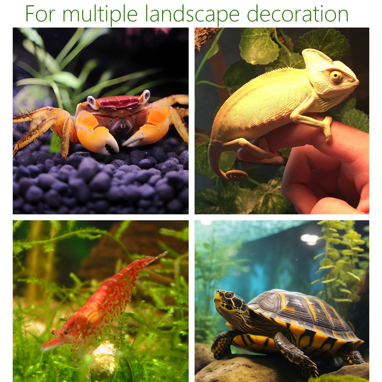 Aquarium Hideaway Rocks for Small Fishes, Shrimps to Breed, Play and Rest, Safe and Non-Toxic Ceramic Fish Tank Ornaments, Hideout Stone for Betta