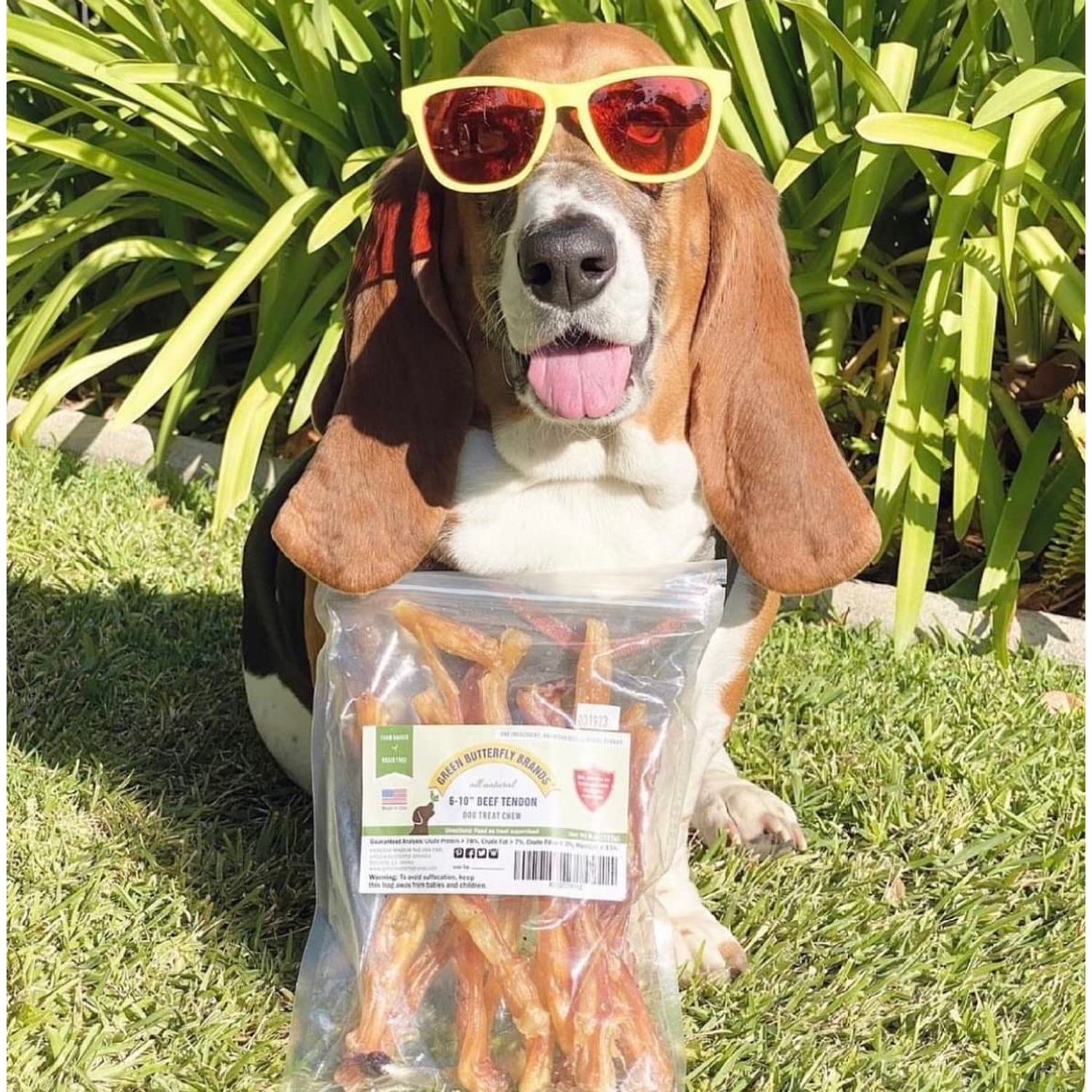 Green Butterfly Brands Beef Tendons for Dogs Made in USA. 6-10 Inch Grass Fed Farm-Raised American Beef Dog Treats. All Natural Dog Dental Chews. Grain Free Odor-Free Beef Dog Chews (8 OZ)
