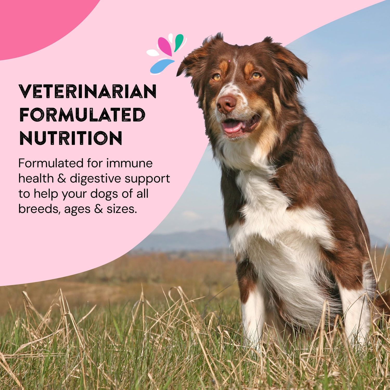 Happy Go Healthy Hip & Joint Supplements for Dogs | Helps Joint Health & Mobility Support for Recovering and Senior Dogs | Natural Ingredients, Tasty Kibble Dog Food Topper | 60-Count Pack