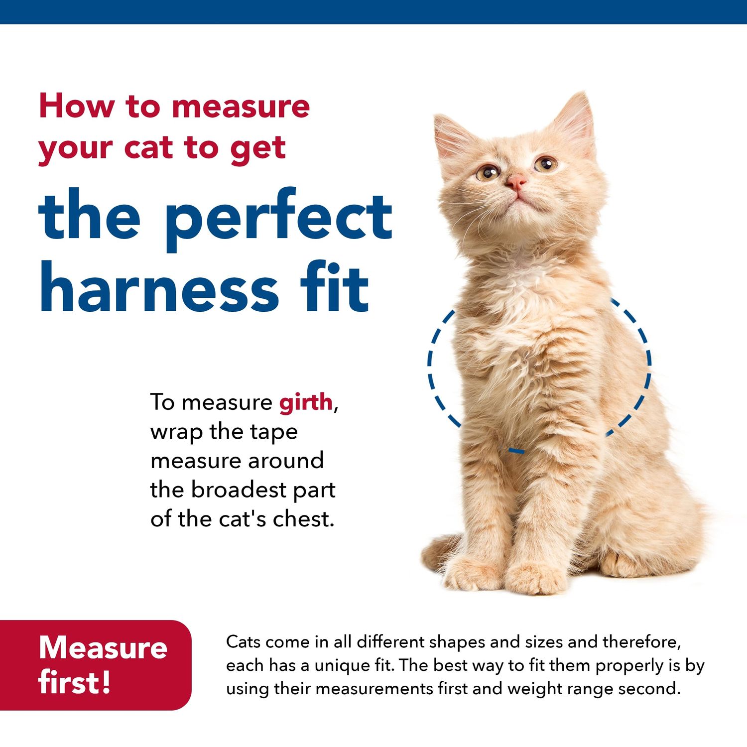 Coastal Pet Size Right Snag-Proof Adjustable Cat Harness - Comfortable Harness for Cats - Adjustable - Quality Pet Supplies - Medium & Small - Blue, 3/8" x 12-18"