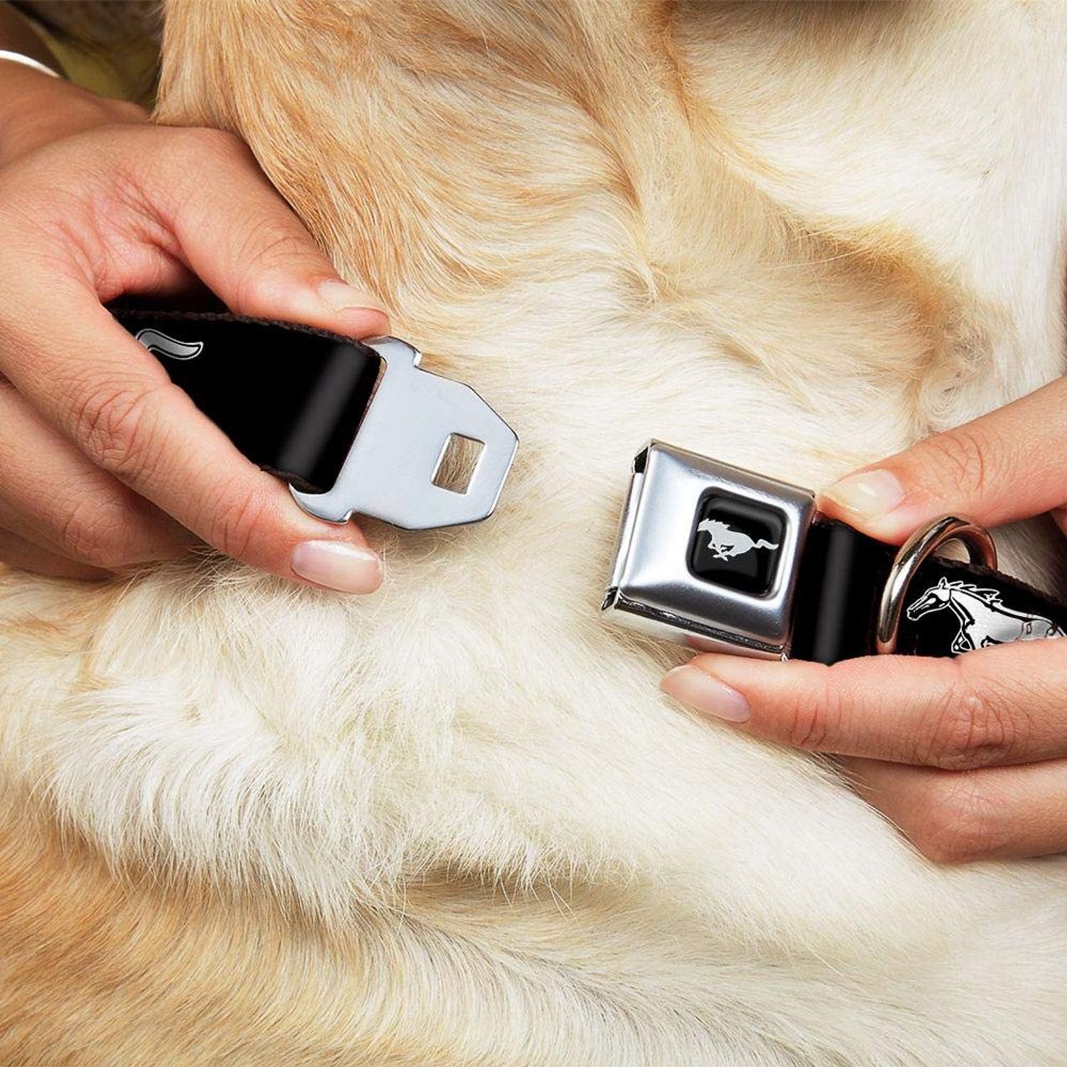 Buckle-Down Seatbelt Buckle Dog Collar - Ford Mustang Black/White Logo Repeat - 1" Wide - Fits 15-26" Neck - Large