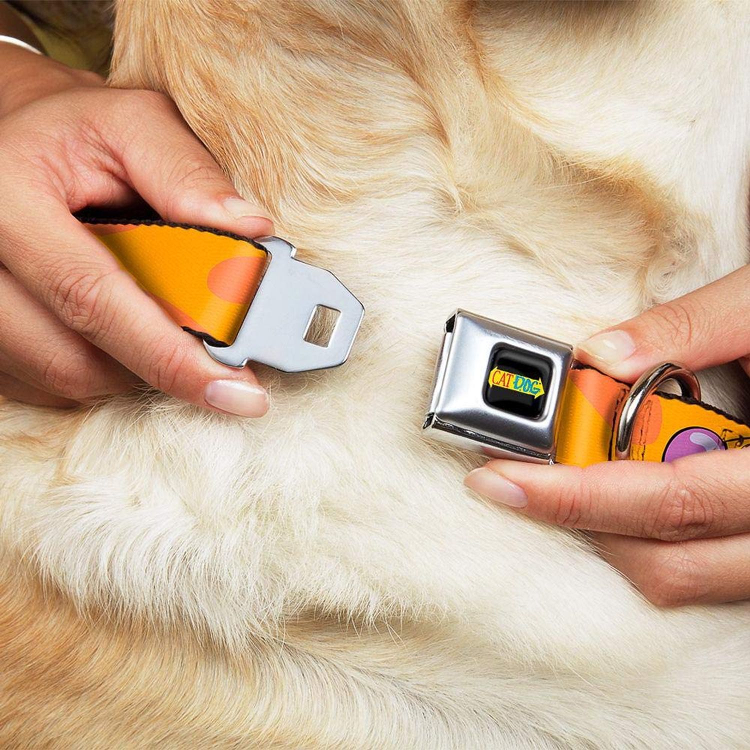 Buckle-Down Seatbelt Buckle Dog Collar - CatDog Stretch/CATDOG Logo - 1.5" Wide - Fits 16-23" Neck - Medium