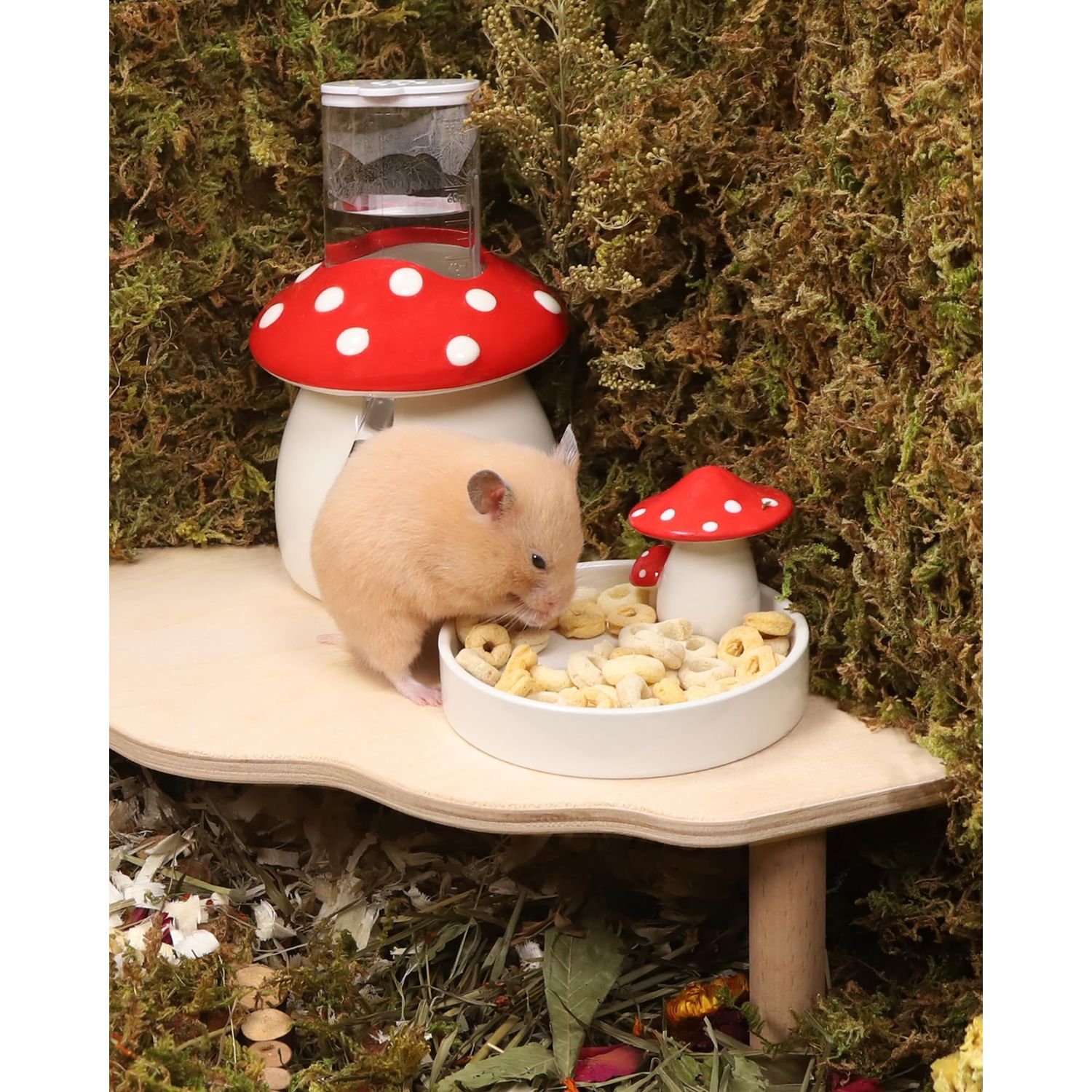 Niteangel Hamster Snack & Treats Toy: - Small Animal Natural Treat Mix for Dwarf Syrian Robo Hamsters Gerbils Mice Lemmings Degus or Other Small-Sized Pets