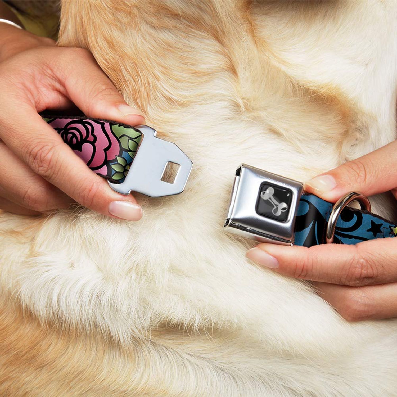 Dog Collar Seatbelt Buckle Mom Dad Close Up Blue Sparrows 13 to 18 Inches 1.5 Inch Wide