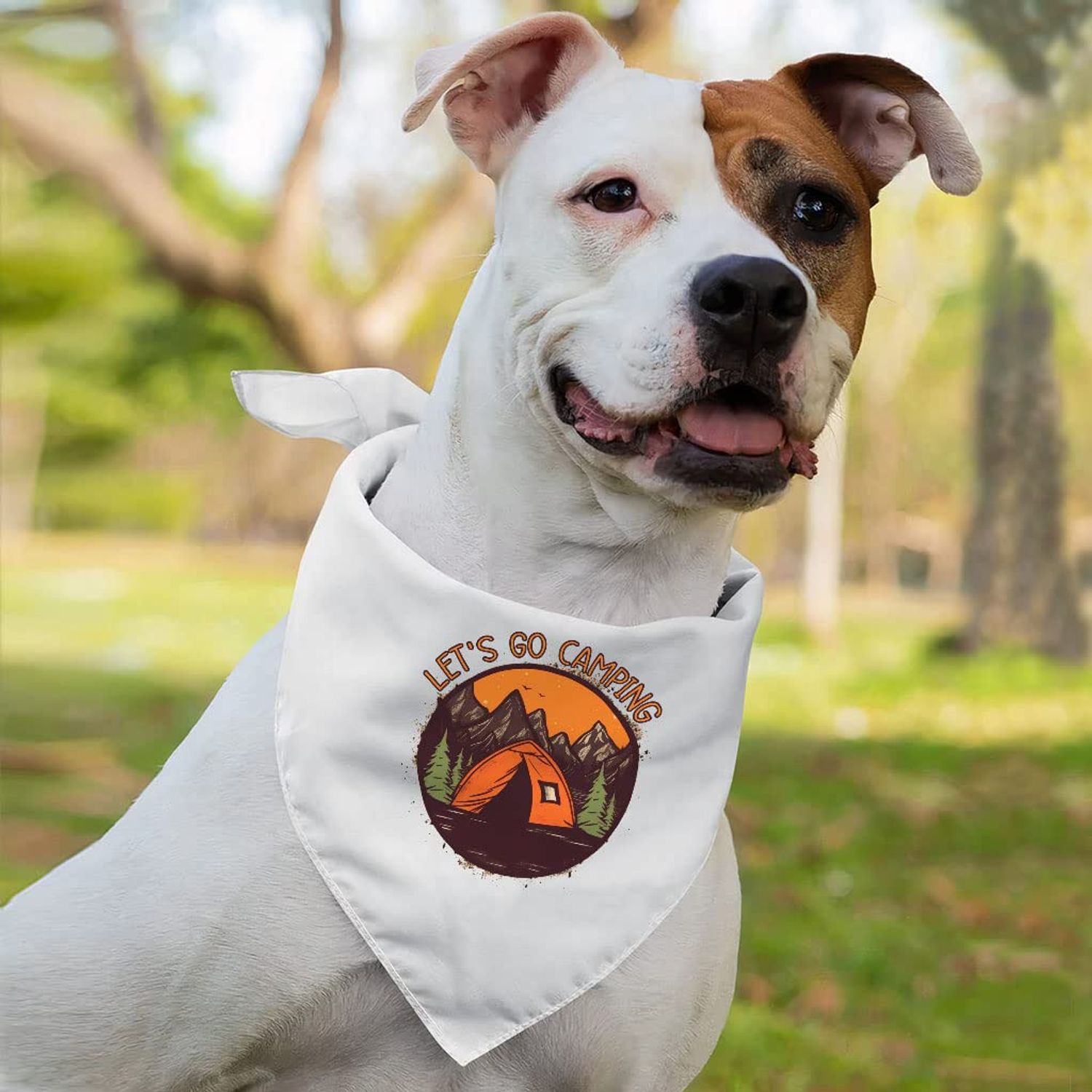 Let's Go Camping Pet Bandana - Tent Dog Bandana - Camping Pet Scarf - M