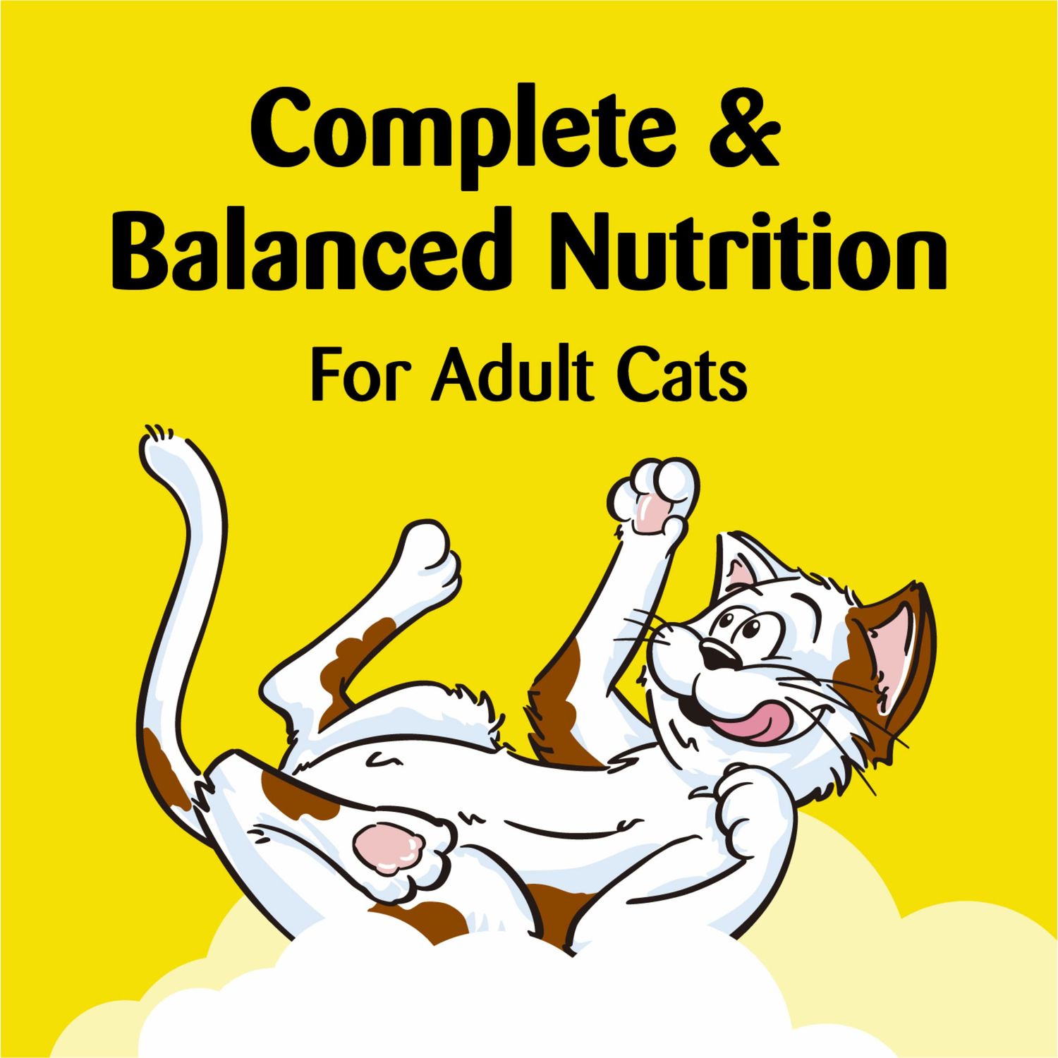 TEMPTATIONS Jumbo Stuff Crunchy and Soft Cat Treats, Savory Salmon Flavor, 14 oz. Tub