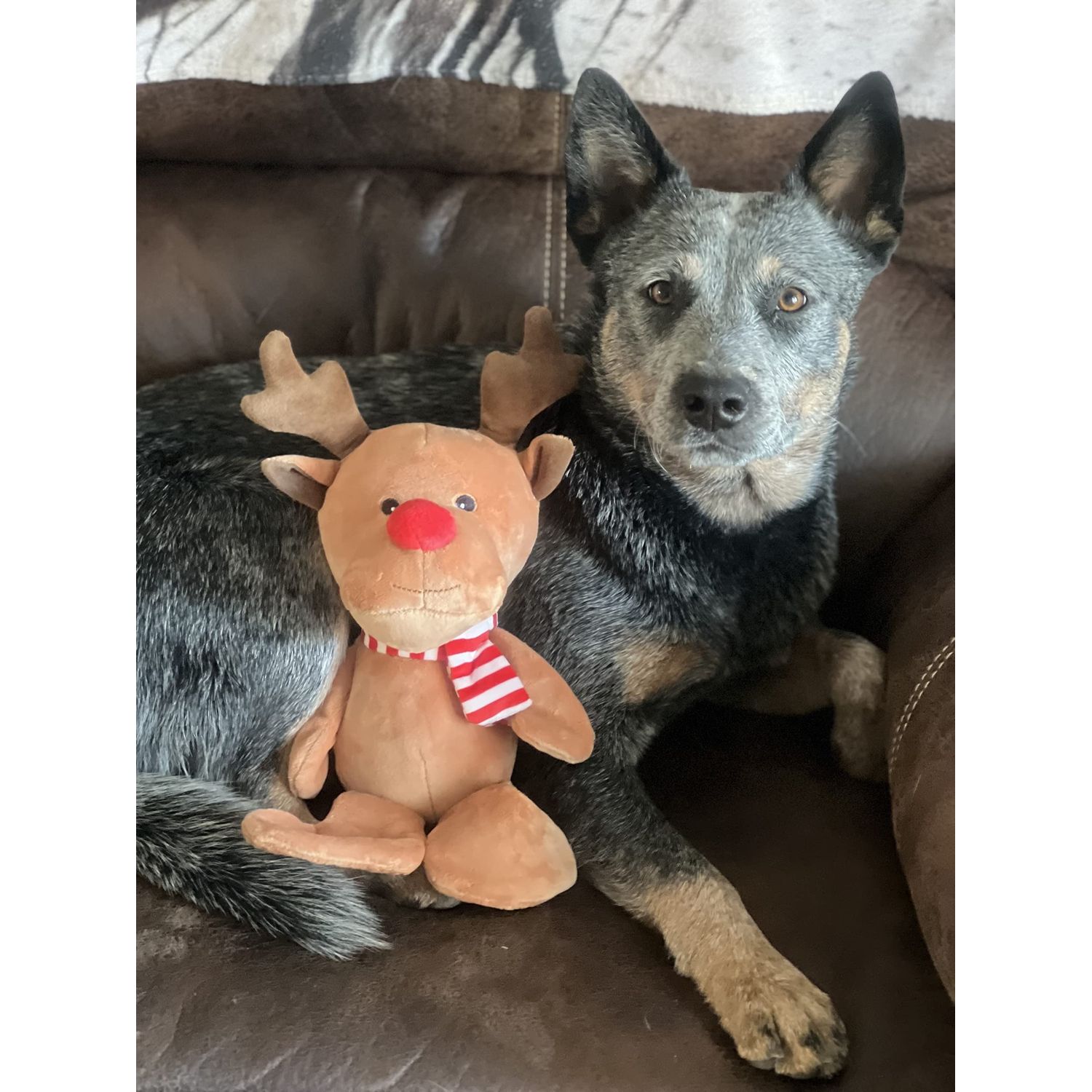 Midlee Christmas Reindeer Plush Dog Toy with Scarf