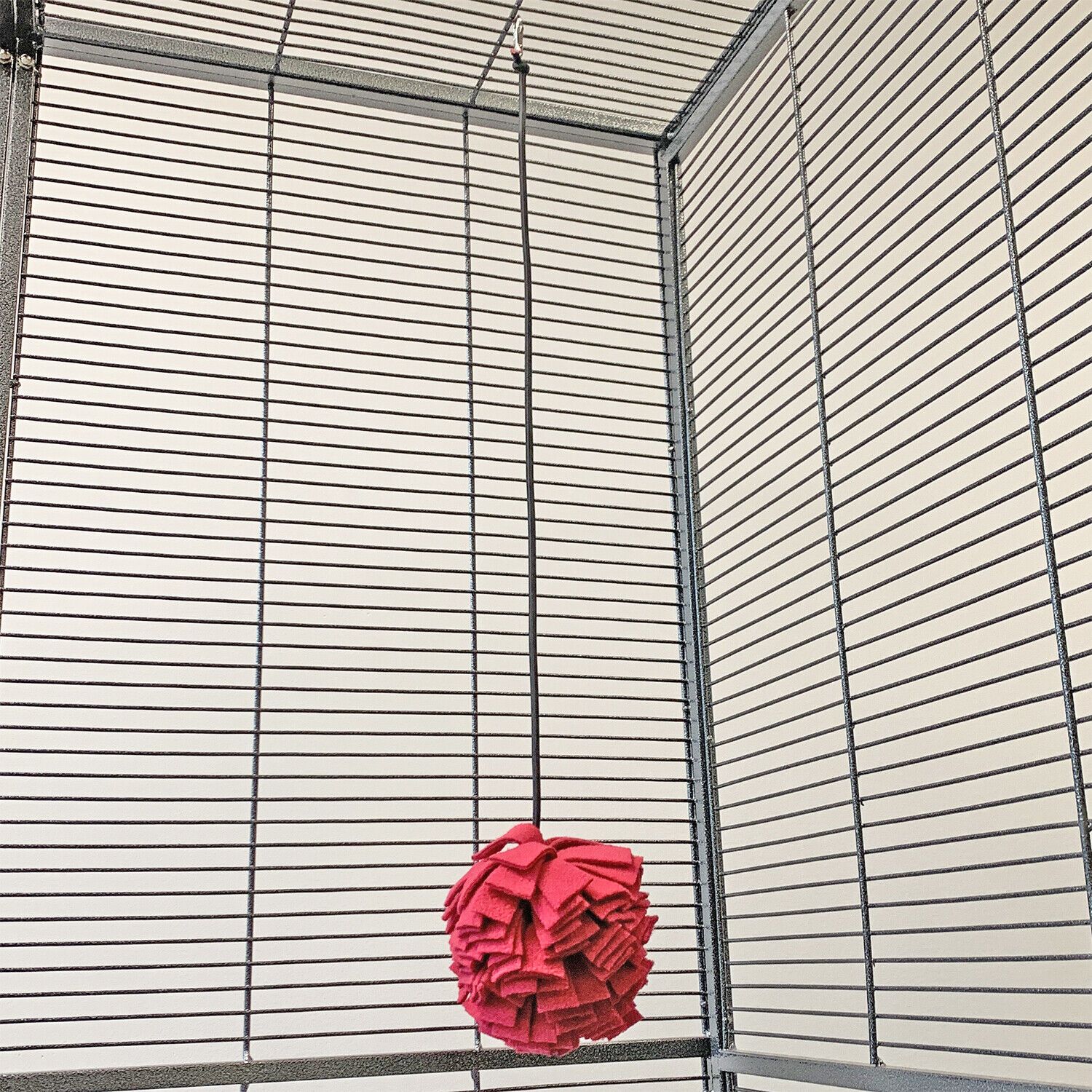 Pom Pom Jumper - Interactive Pet Toy - Sugar Gliders, Marmosets, and More!