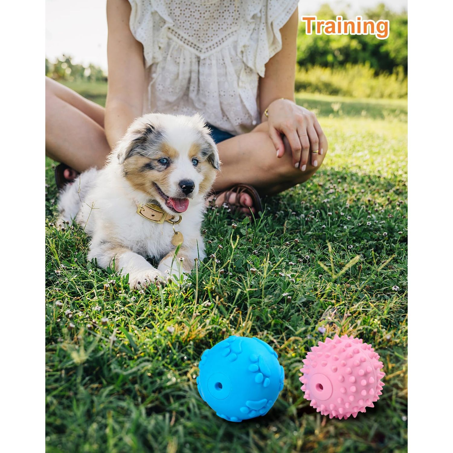 Bestdoggo Puppy Ball Small Dog Toys - 2 PCS Squeaky Dog Toys, Blue Giggle Ball Dog Toy for Puppies, Pink Puppy Teething Chew Toys, Interactive Dog Toys for Small Dog, Small Dog Fetch Ball for Boredom