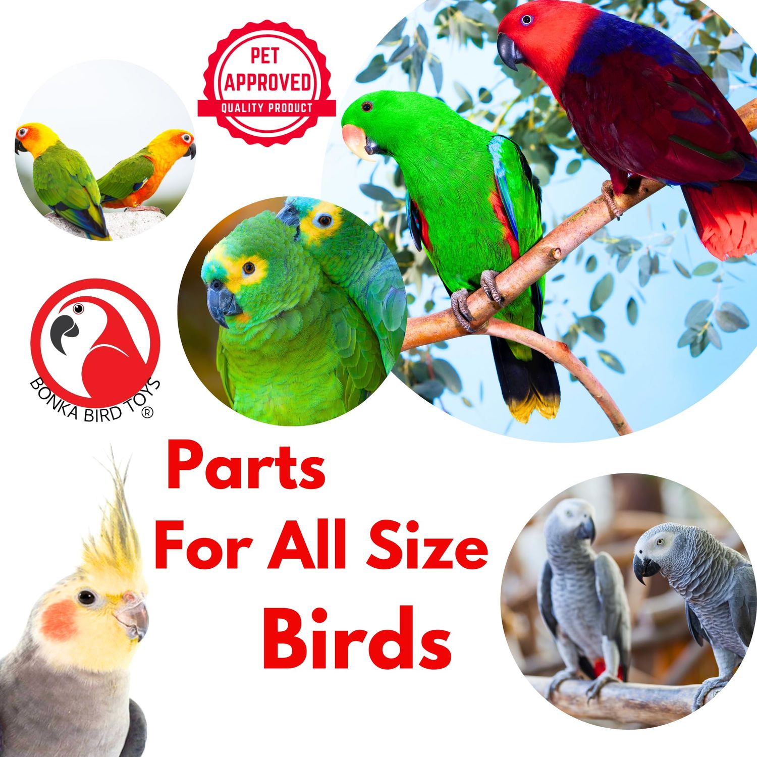 Bonka Bird Toys 2002 Six Pack Thick Leather 48" Long x 1/4" Cord Genuine Natural Leather Lace Strip Craft Part Bird Toy Making Projects Roll Rope Tan Hide