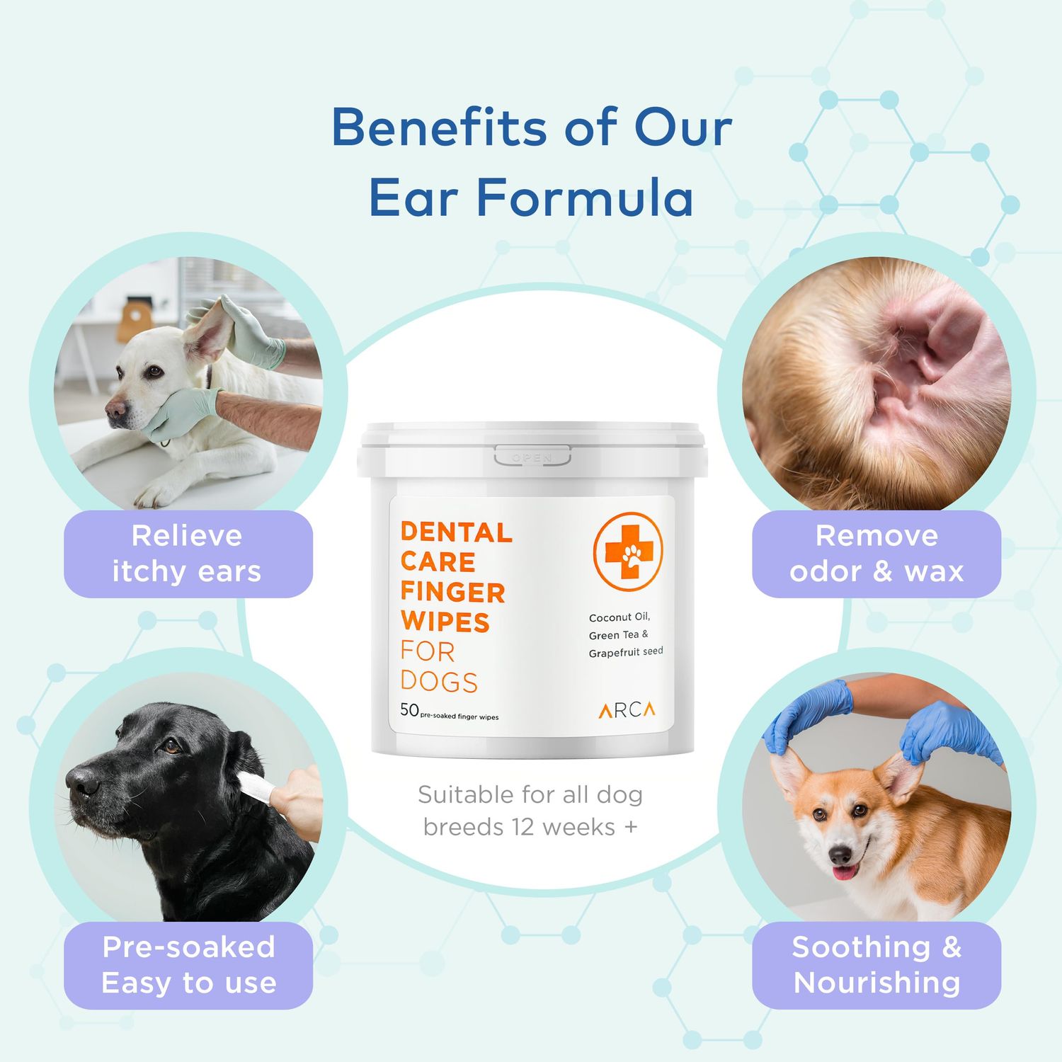 ARCA PET Dental Finger Wipes for Dogs - 50 Wipes - Vet Formulated Dog Dental Teeth Cleaning Wipes for Dogs - Pre-Soaked Oral Cleaning Pads - Reduces Plaque, Tartar & Dog Breath Freshener