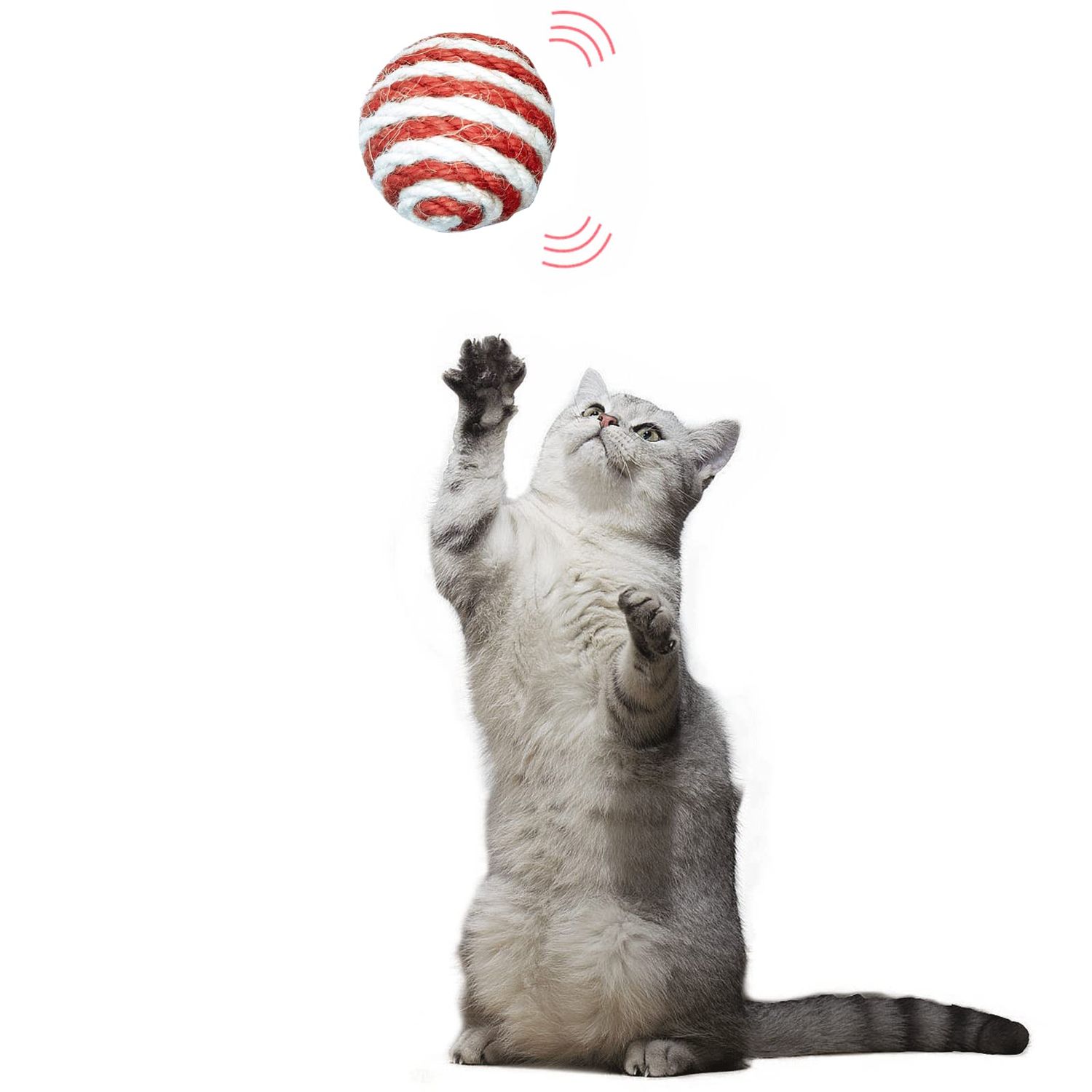Qusmeiyici 6Pcs Cat Sisal Balls Toy, Best Cat Toys for Indoor Cats - Cat Nip Toys & Woven Wool String Rattle Ball Toy Set for Cats(Random Color)