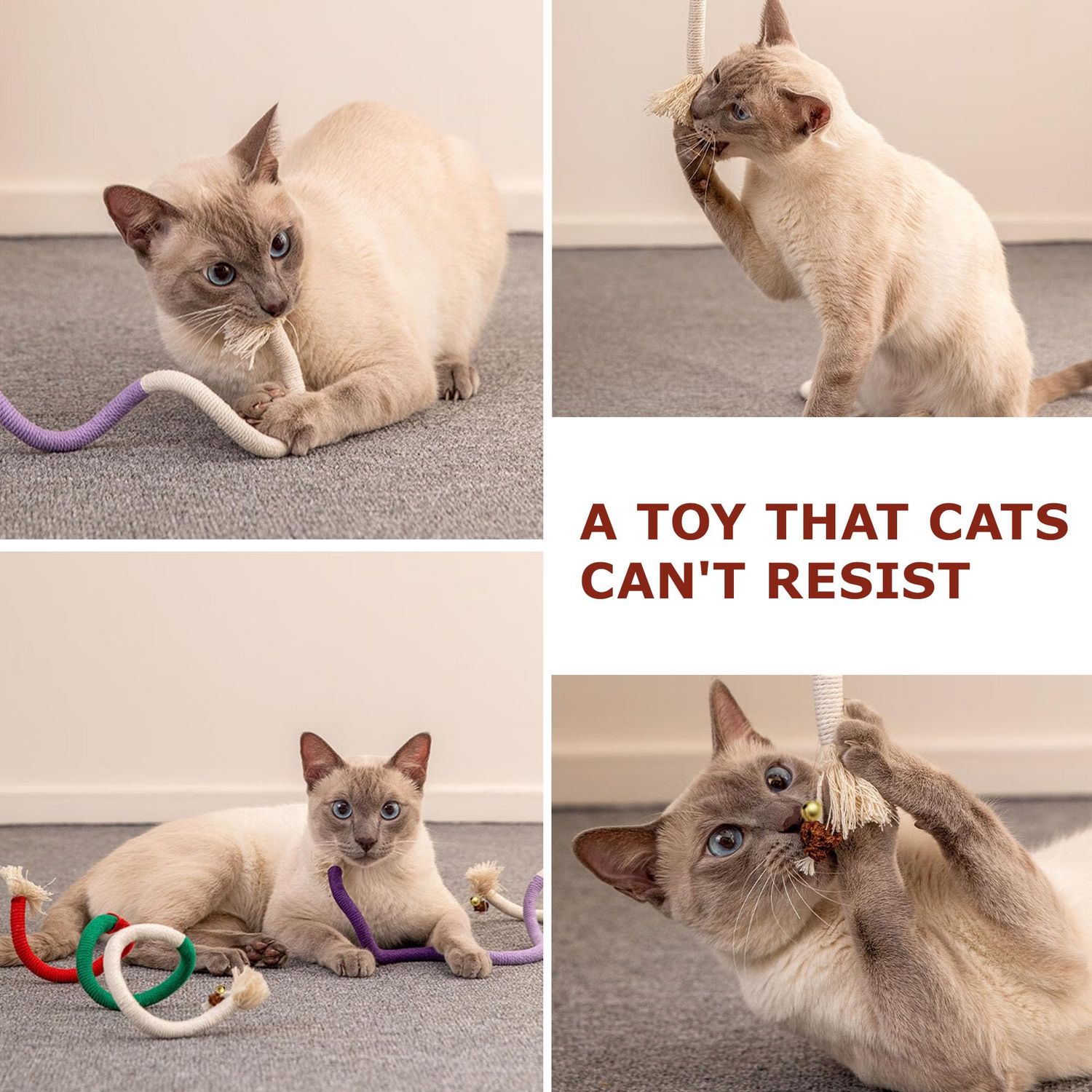 Leoezx™ Sisal Rope Cat Toys (3PCS), Cat Chew Teeth Toys, Interactive Cat Teething Toys, Cat Tooth Cleaning, Cat Bell Toys
