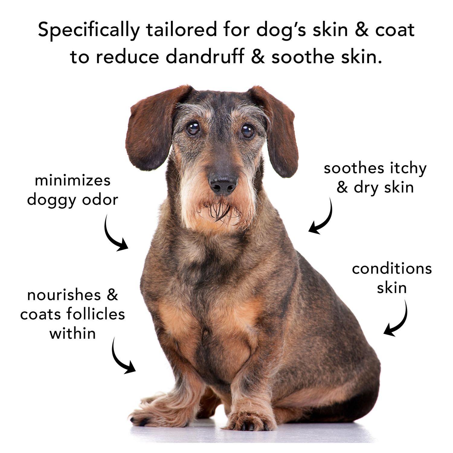 Pride and Groom The Sensitive One | Dog Grooming Shampoo for Puppies and Dogs with Itchy, Dry Skin| Tearless All Natural Body Wash with Essential Oils to Soothe Skin – 16oz (Pack of 2)