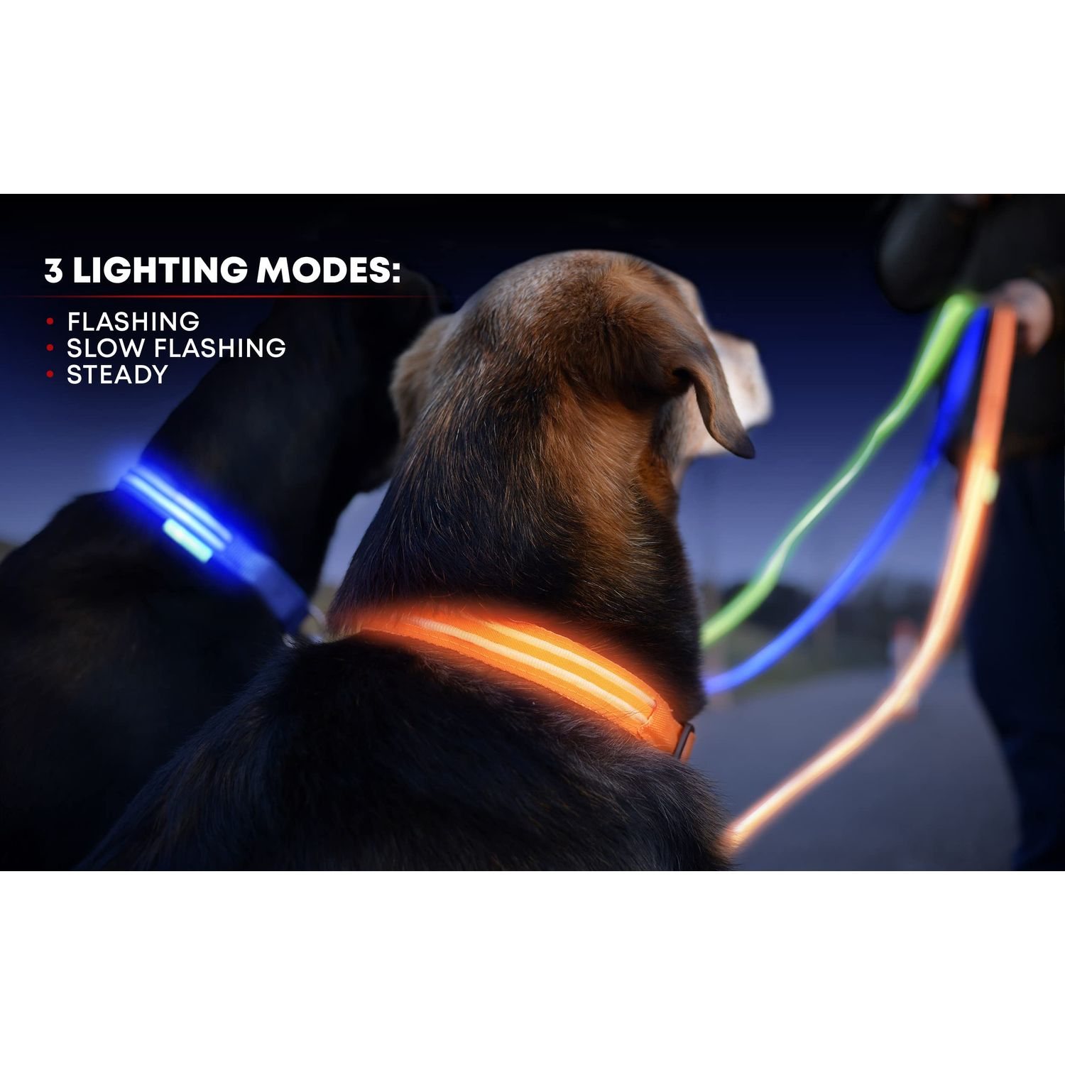 ILLUMISEEN LED Dog Collar USB Rechargeable ? Bright & High Visibility Lighted Glow Collar for Pet Night Walking ? Weatherproof, in 6 Colors & 6 Sizes (Red Medium)