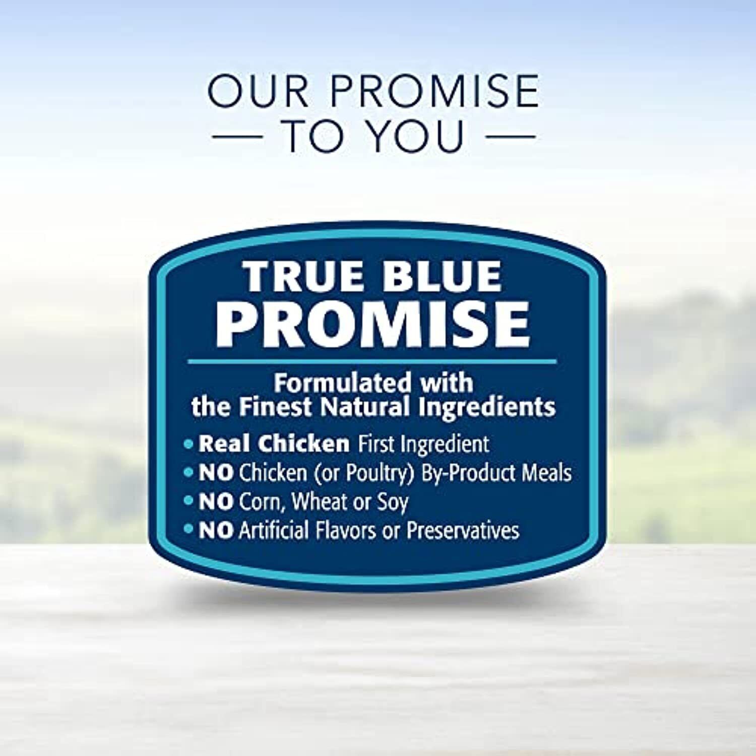 Blue Buffalo Life Protection Formula Natural Adult Large Breed Dry Dog Food,