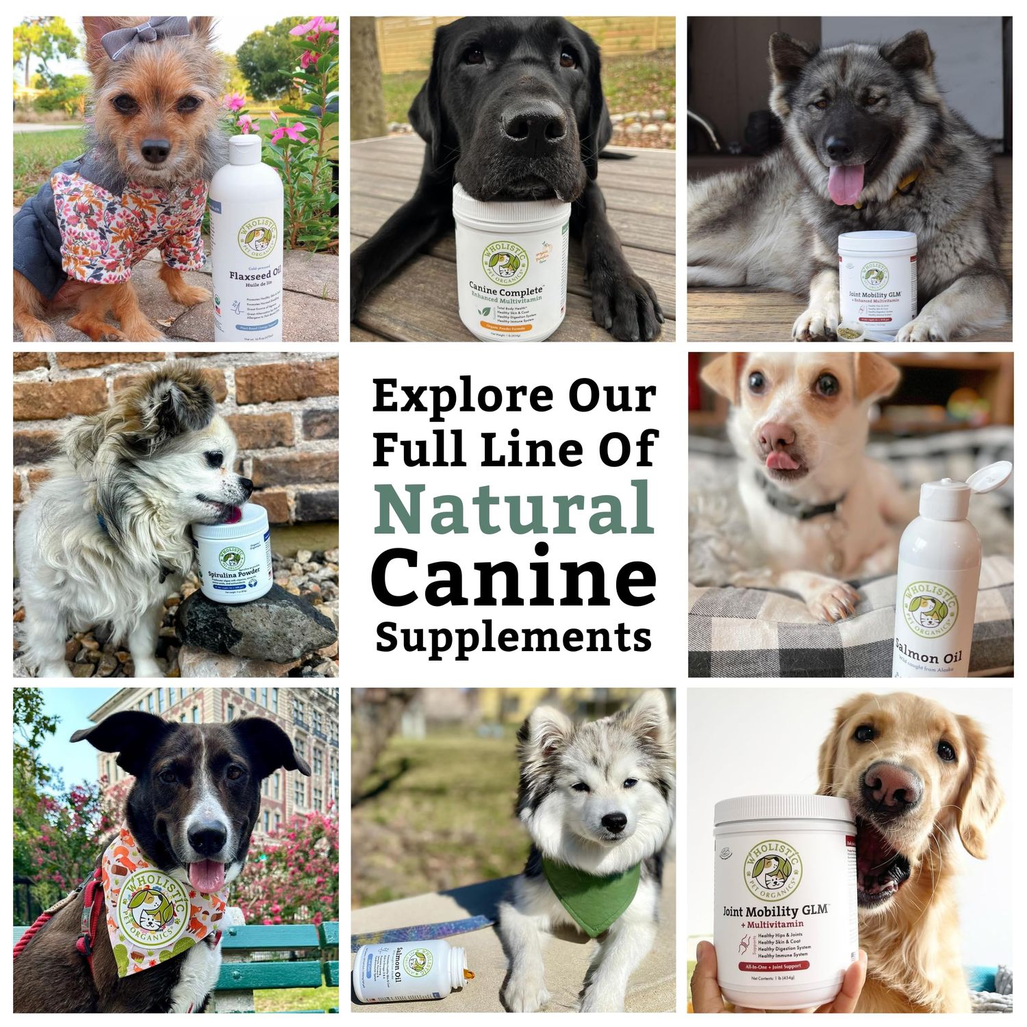 Wholistic Pet Organics Run Free - 4 Oz - Dog Joint Supplement for Senior Dogs, Glucosamine Chondroitin MSM, Dog Vitamins, Cat Joint Pain Relief