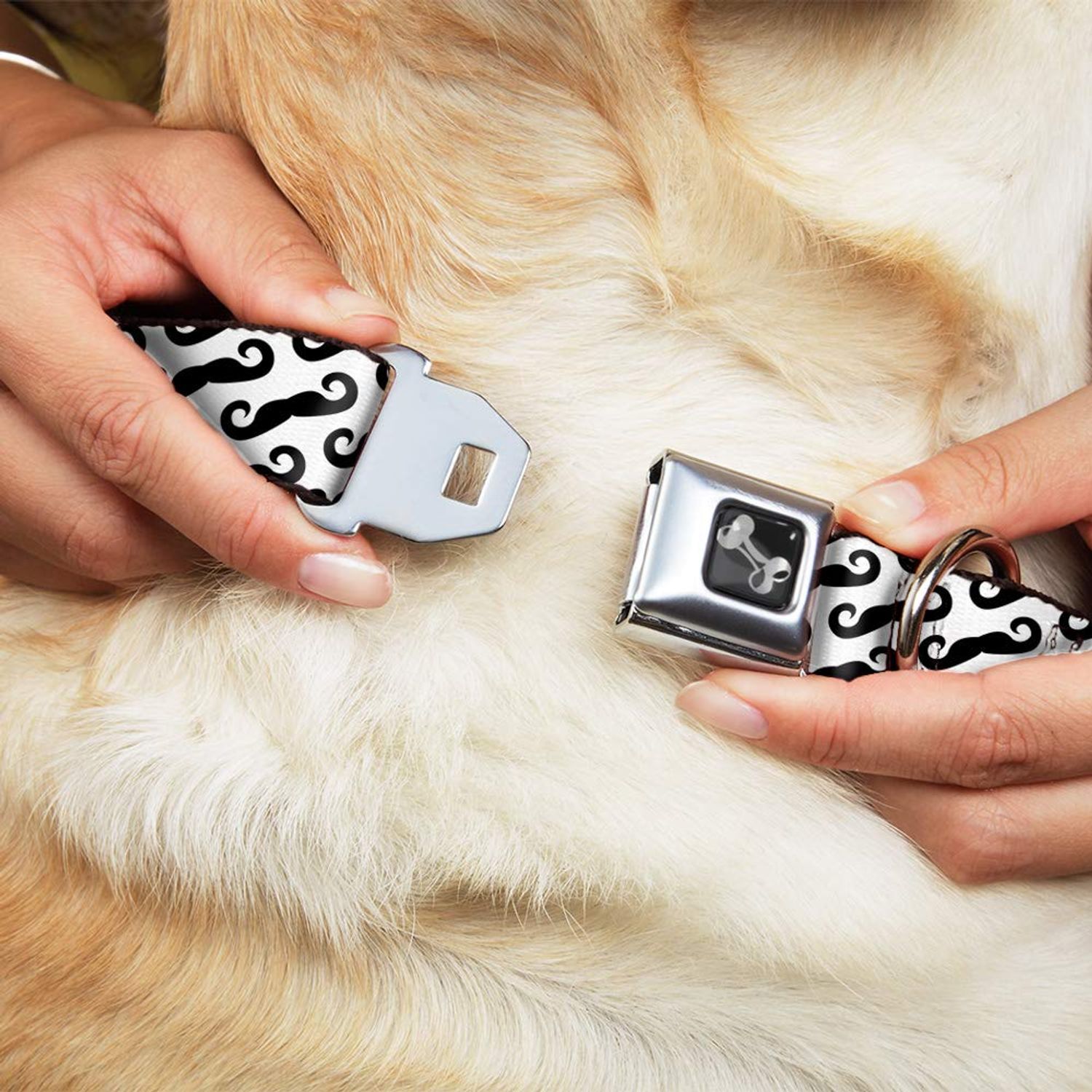 Buckle-Down Seatbelt Buckle Dog Collar - Diagonal Handlebar Mustaches White/Black - 1.5" Wide - Fits 16-23" Neck - Medium