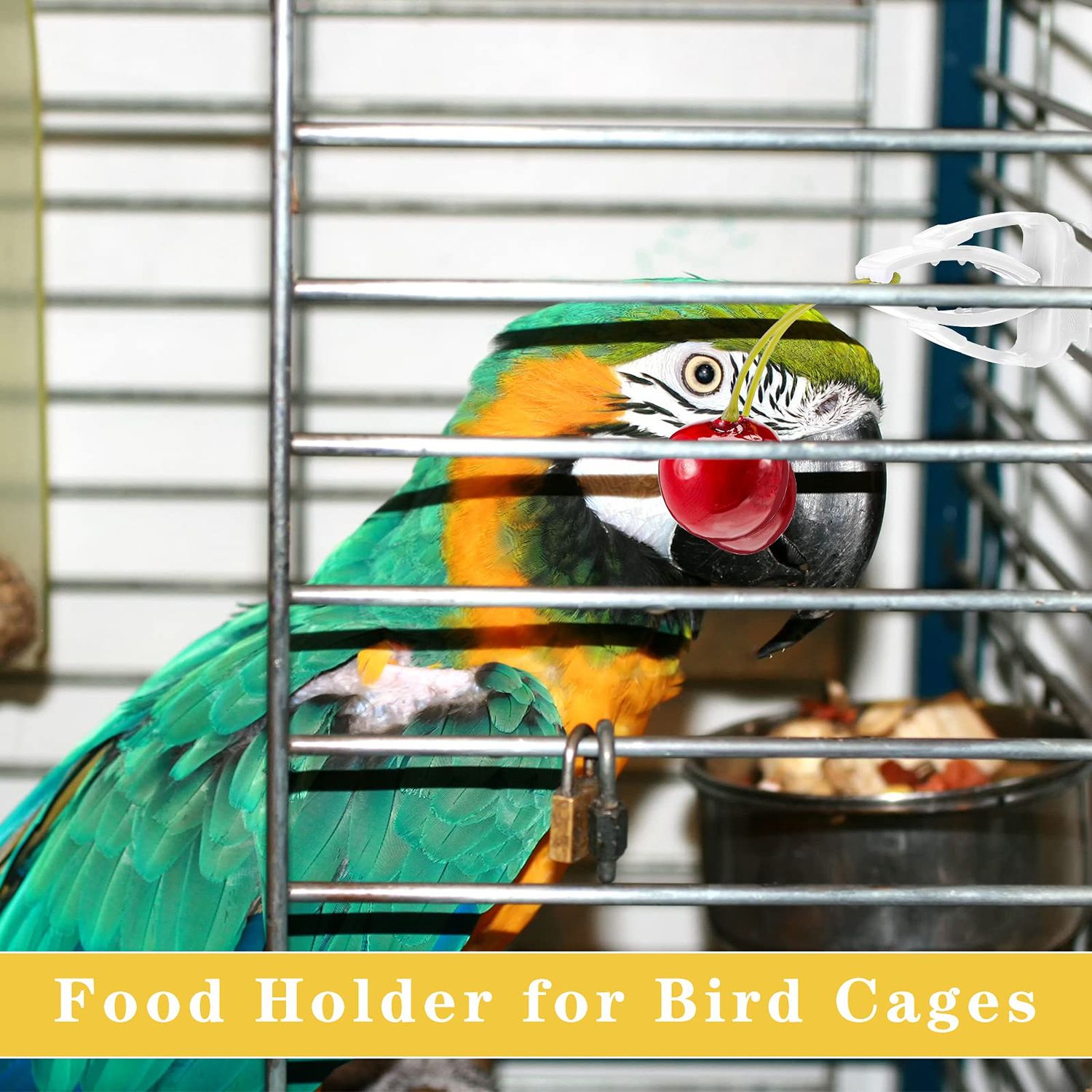 6 Pieces Bird Cage Food Holder Parrot Fruit Vegetable Clips Bird Cage Feeder Clip for Budgie Parakeet Cockatoo Macaw Cockatiel Conure