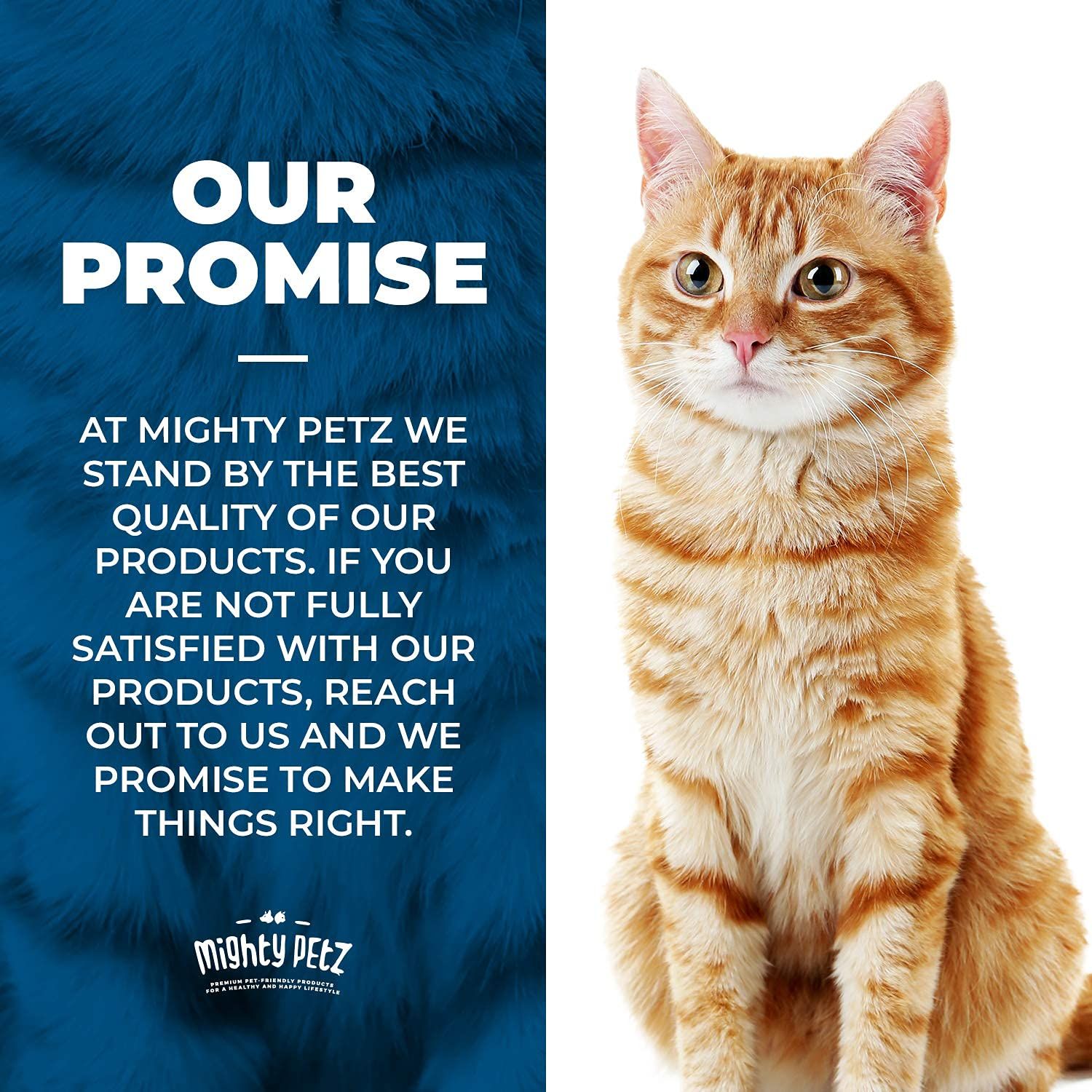 Mighty Petz Cat Deterrent Spray - Cat Indoor Repellent for Furniture, Plants, Couch Protector. Safe, Non-Toxic Anti Scratch Spray Made with Natural Ingredients: Vanilla Cinnamon, 8 oz