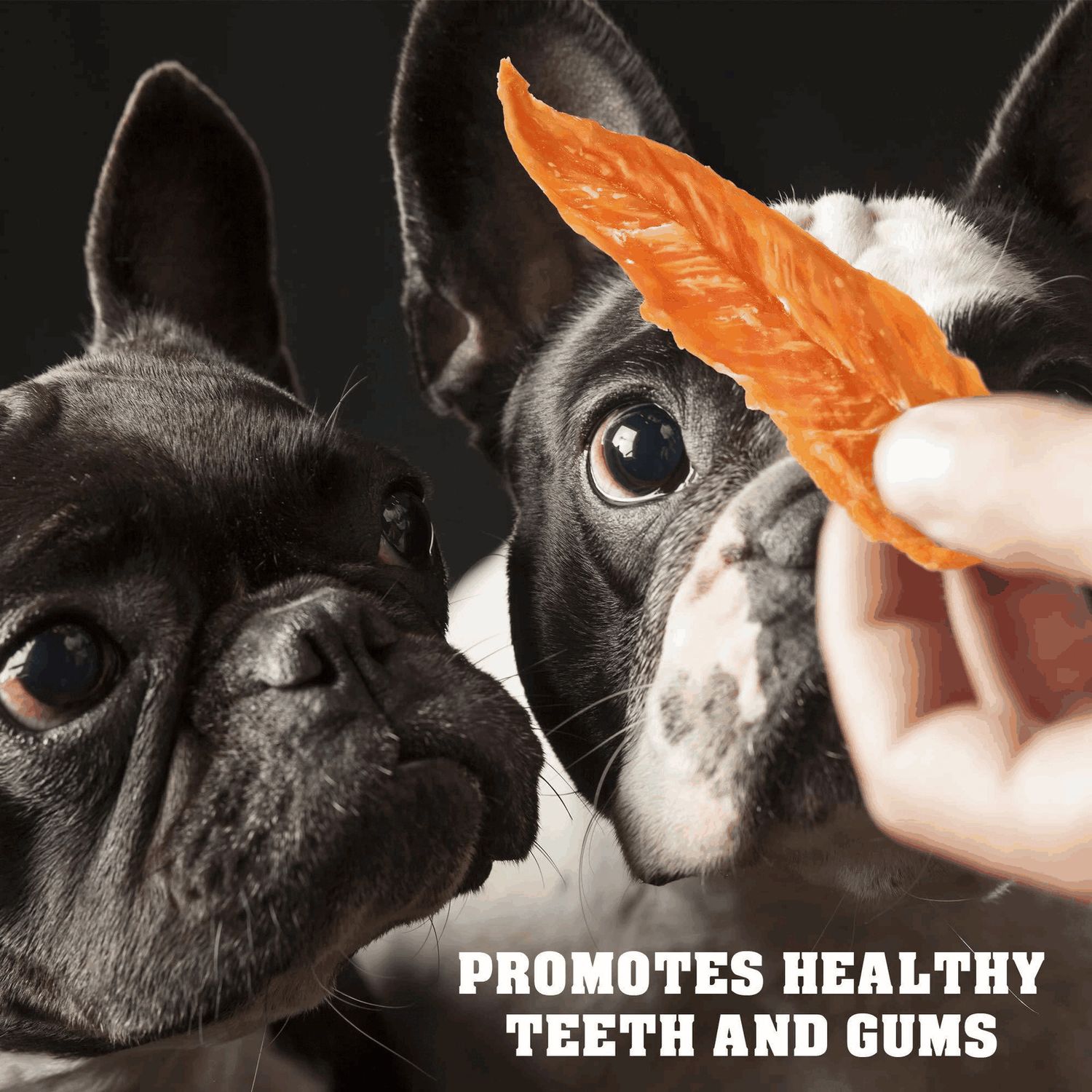Chicken Jerky Dog Treats 1.5 Lb Human Grade Pet Snacks Grain Free Organic Meat