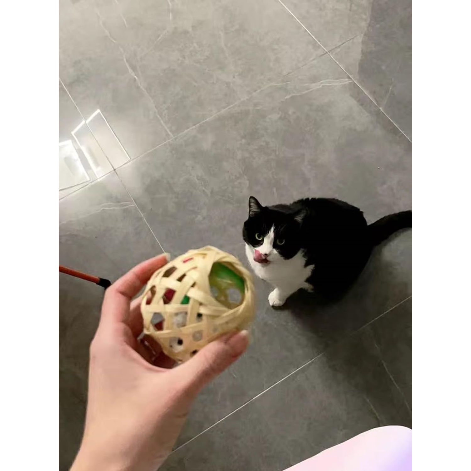 Haourlife Cat Toy Feather Tail Mouse with Cute Handmade Small Bamboo Cage - 3PCS