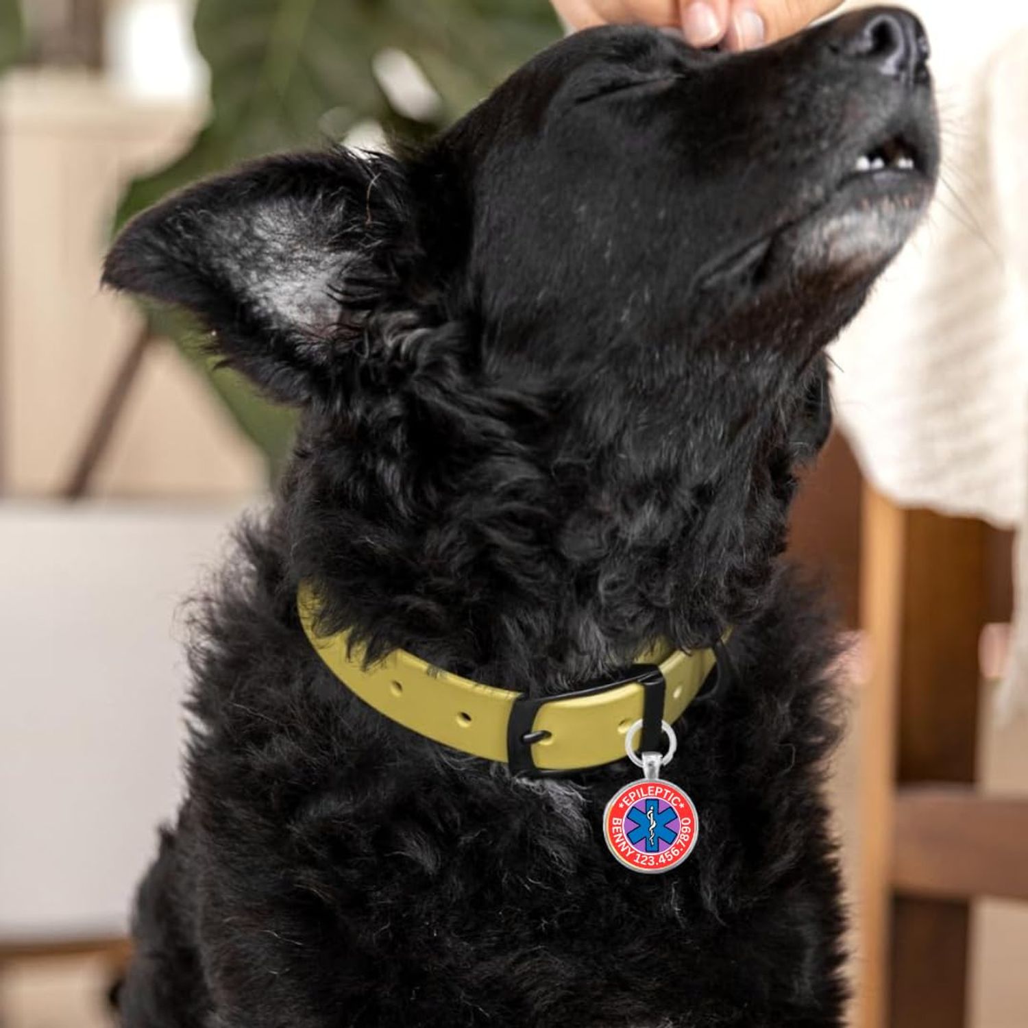 Medical Information Personalized Engraved Round Pet ID Tag for Dogs and Cats