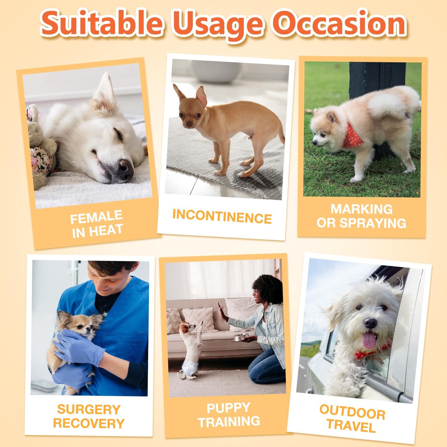 Pet Soft Doggie Diapers - Disposable Dog Diapers for Female in Heat Period or Urine Incontinence, Puppy & Cat Diapers Ultra Absorbent 12pcs XXSmall