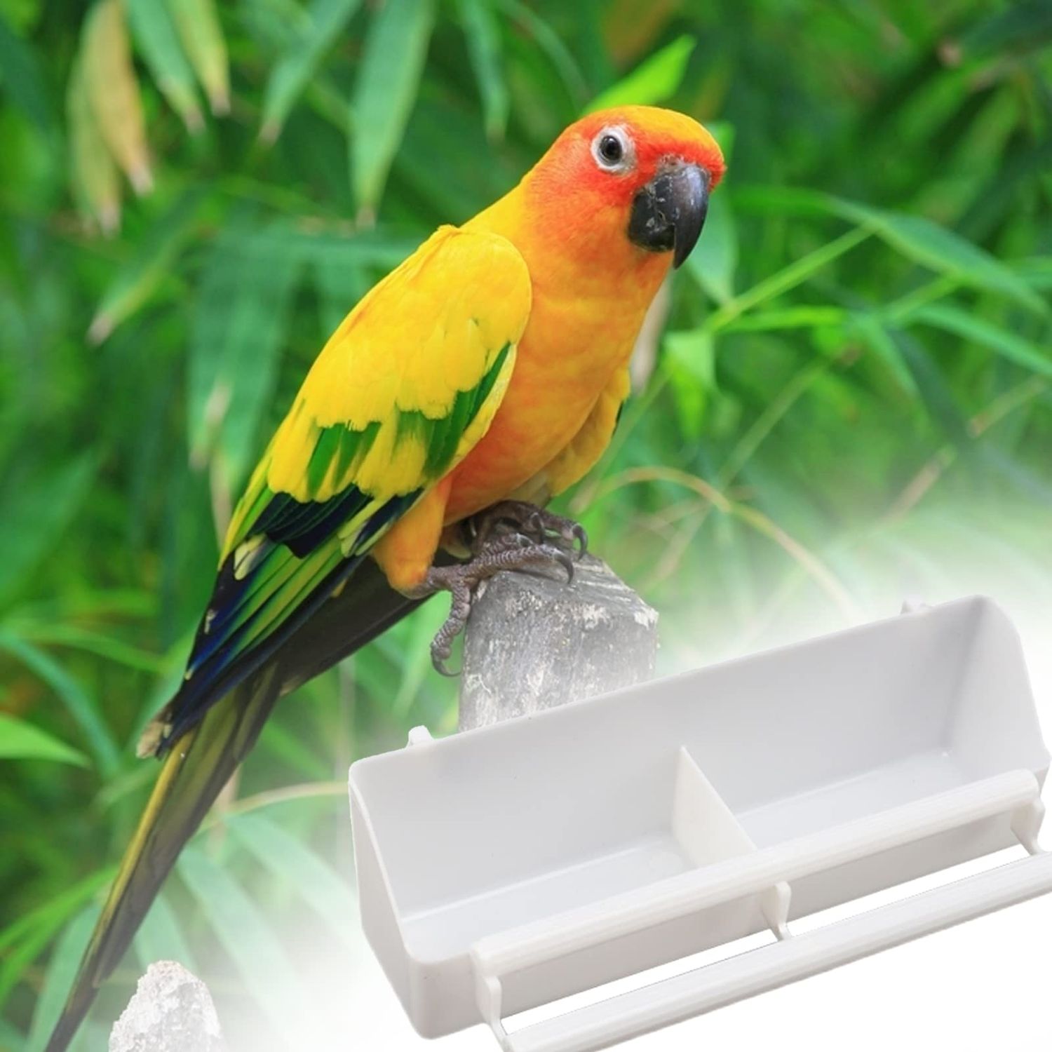 Bird Feeder, 3 Pcs Plastic Bird Food Feeder, Bird Water Cage Accessories, Hanging Bird Food Bowl Cups for Parrots Small Birds Pigeons Parakeet
