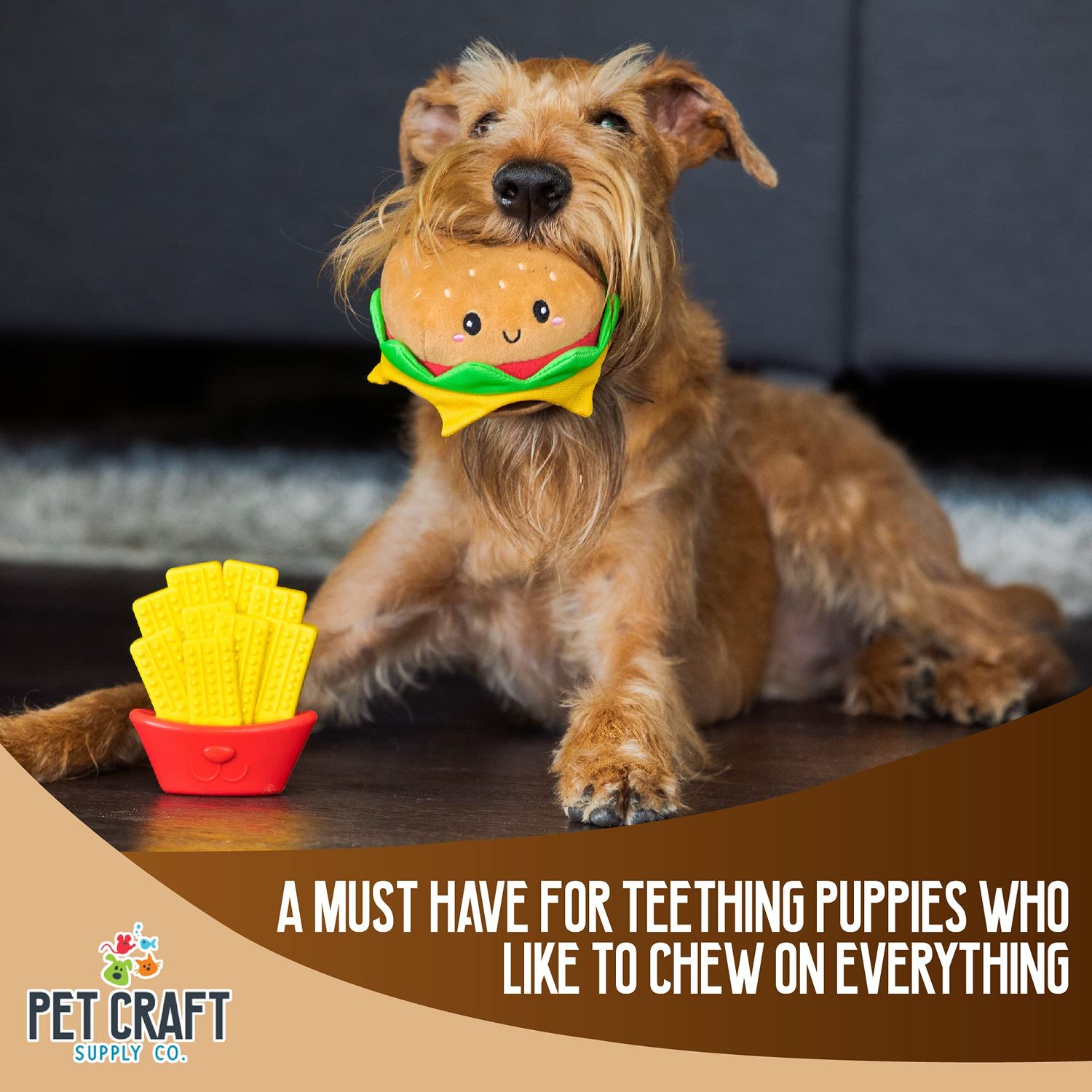 Pet Craft Supply Puppy Teething Dental Chew Teeth Cleaning Nylon Bone Squeaky Plush Dog Toys with Super Squeaker Ball 2 Pack Cute Tough Durable for Puppies Small Medium Dogs Aggressive Chewers