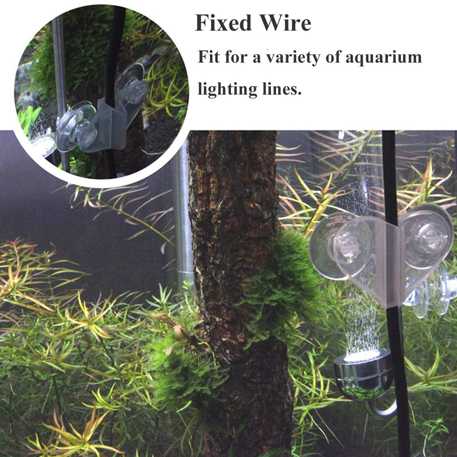 JZMYXA Aquarium Fish Tank Divider Suction Cup, 4 Pieces