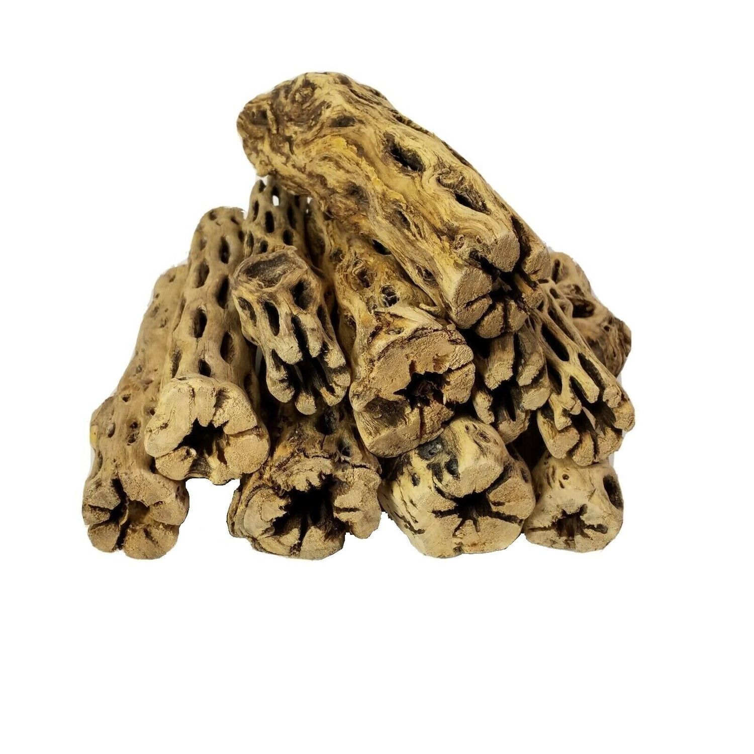 Aquatic Foods Inc. 6" Cholla Wood for Freshwater Shrimp, Crabs, Snails, Crayfish and All Aquariums Extra Tourmaline Mineral Supplement Balls Included - 50-Pieces